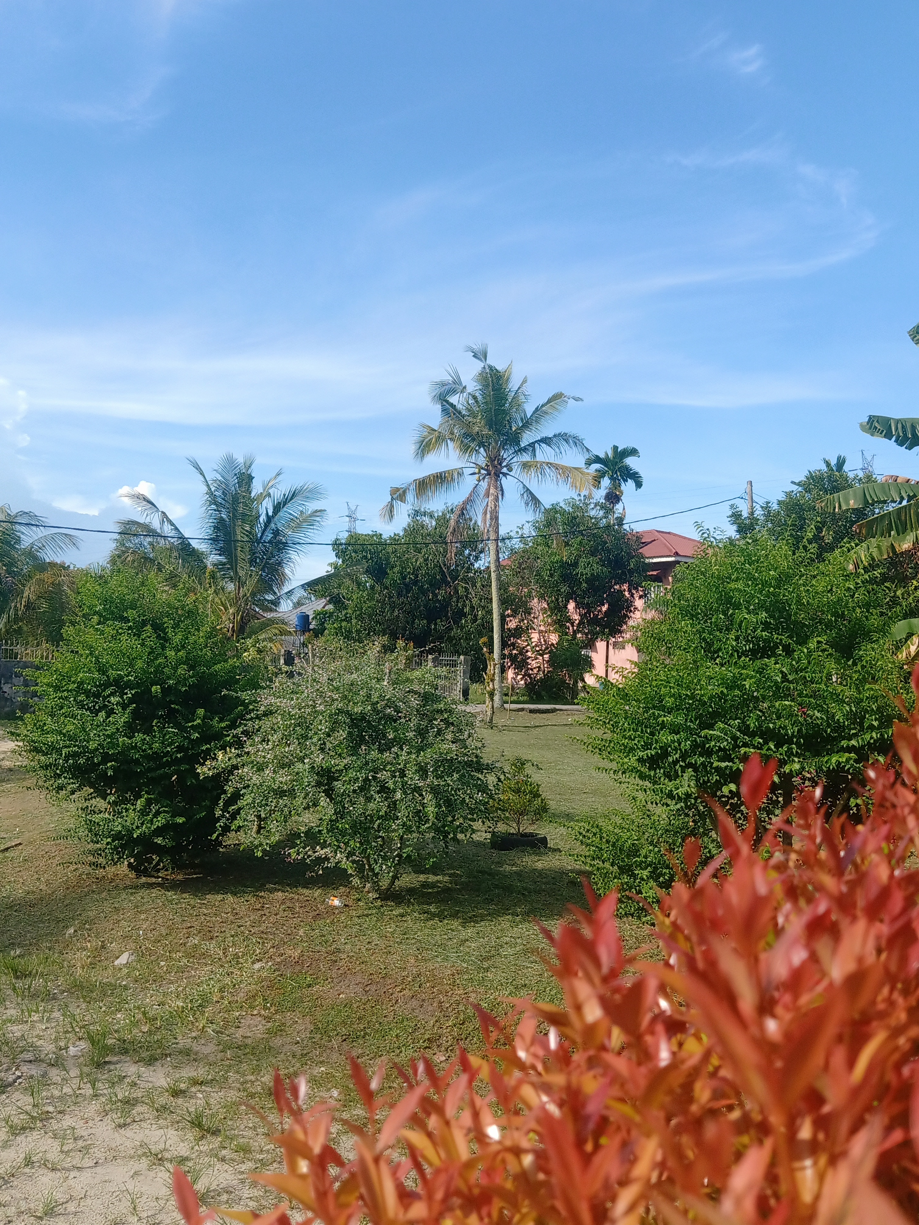 IMG20230626155437.jpg