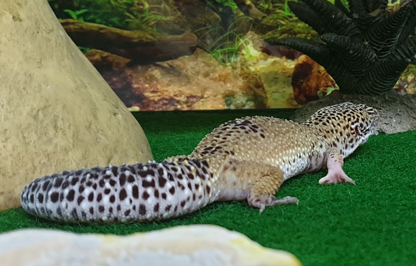 20190417_101608 (2).jpg