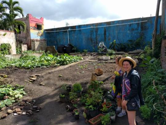 garden.jpg