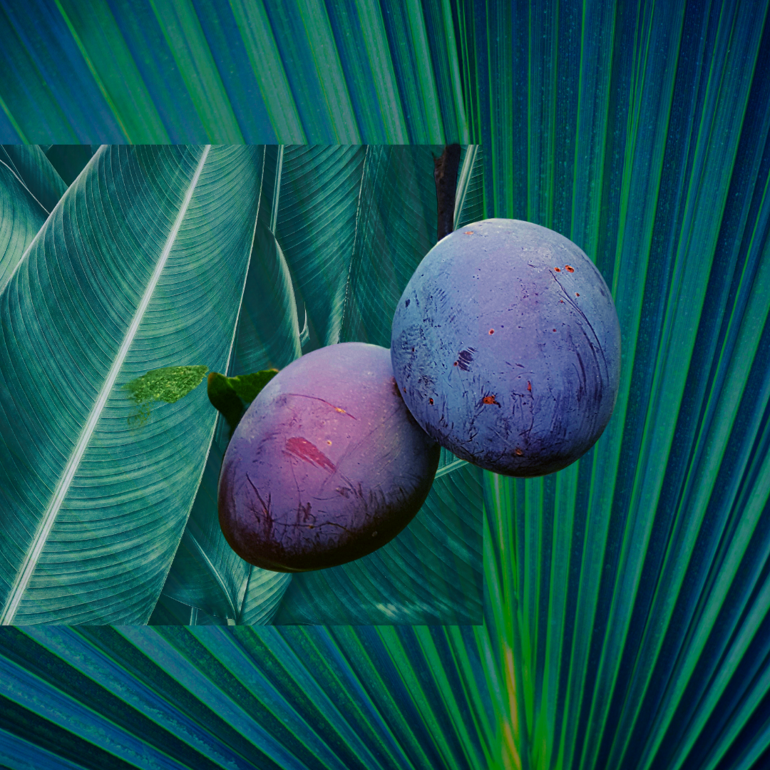 Untitled design (39).png