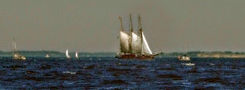 IMAG0021.jpg