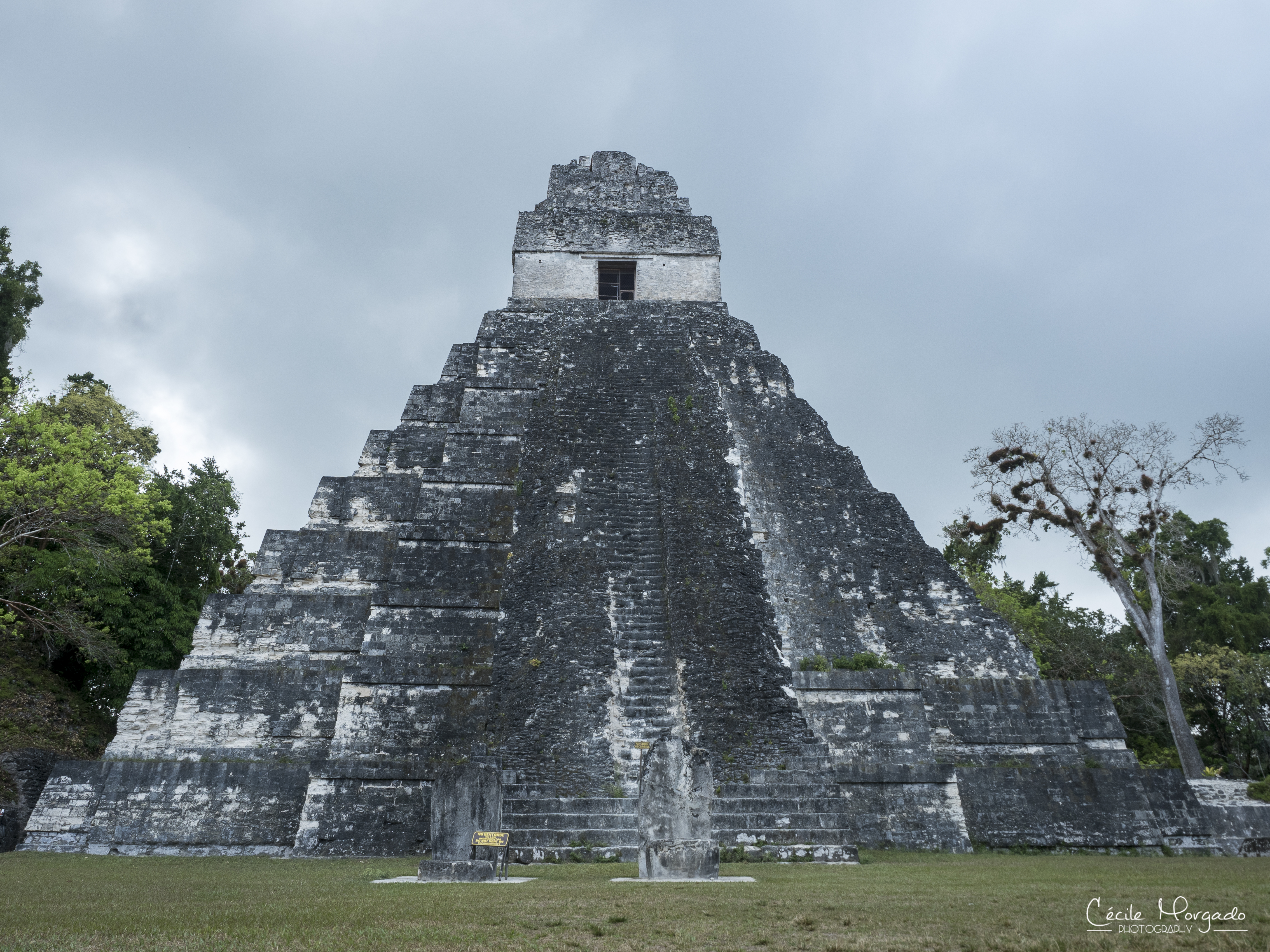 P5070139-56.jpg