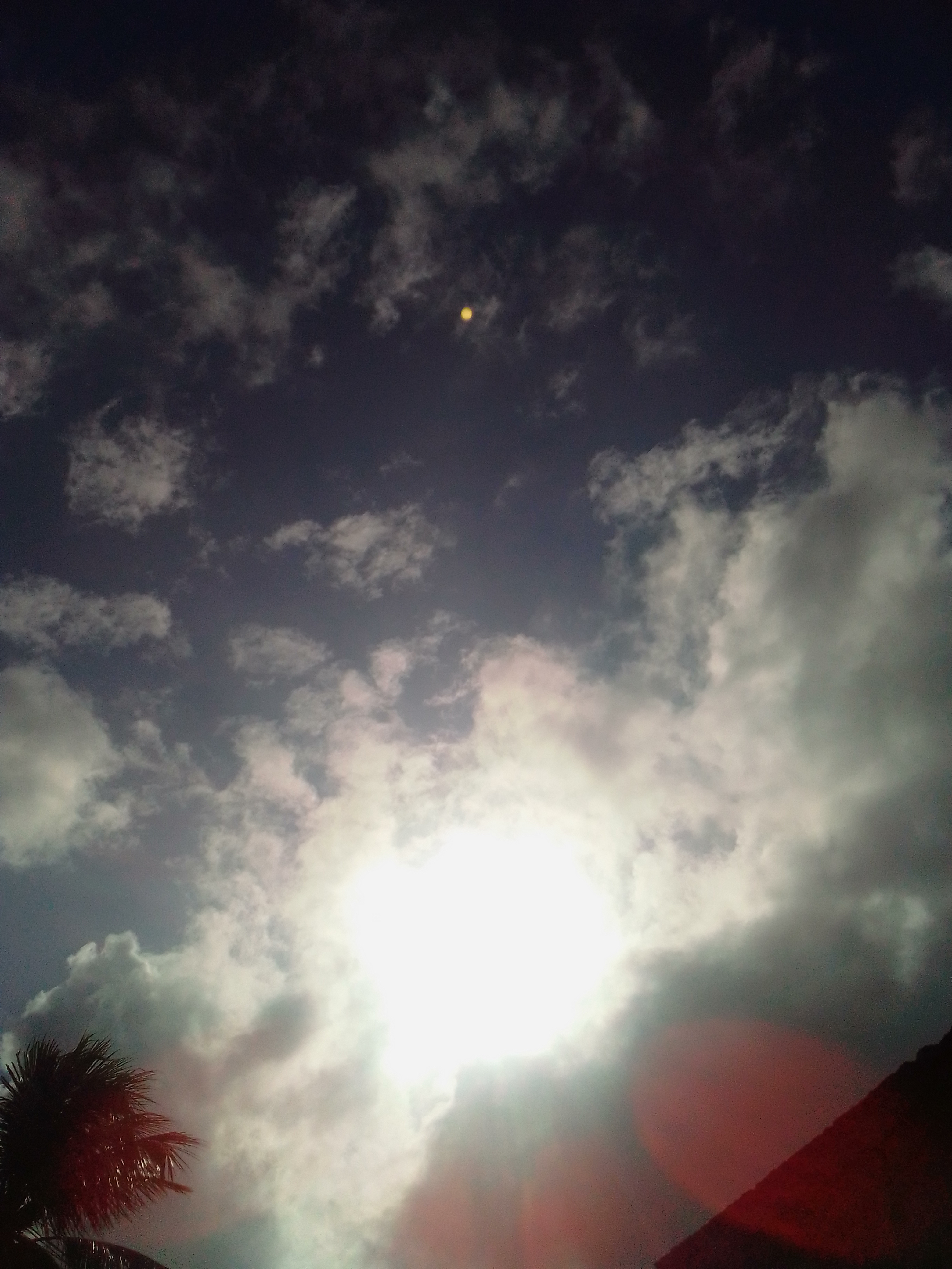 IMG_20211109_082250.jpg