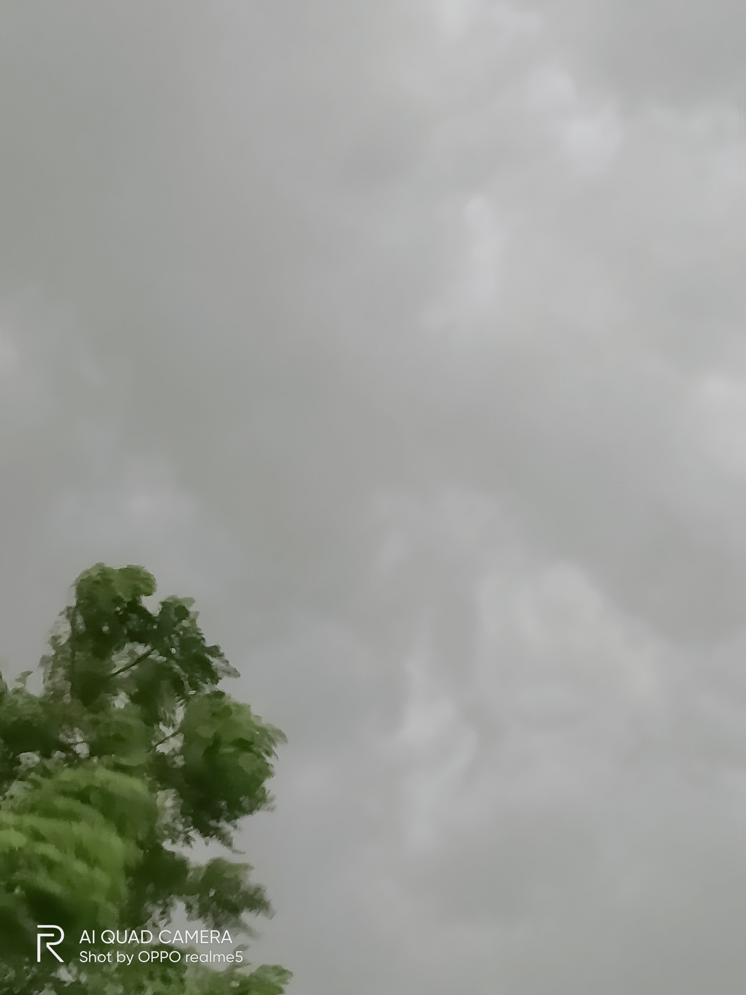 IMG20210908082509.jpg