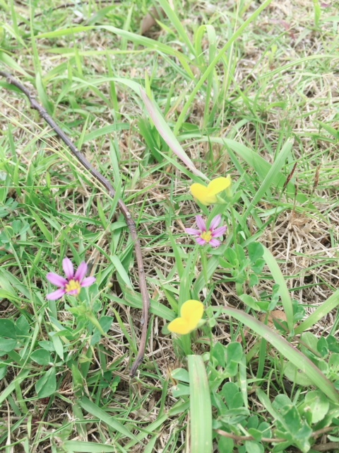 image1 (8).jpeg