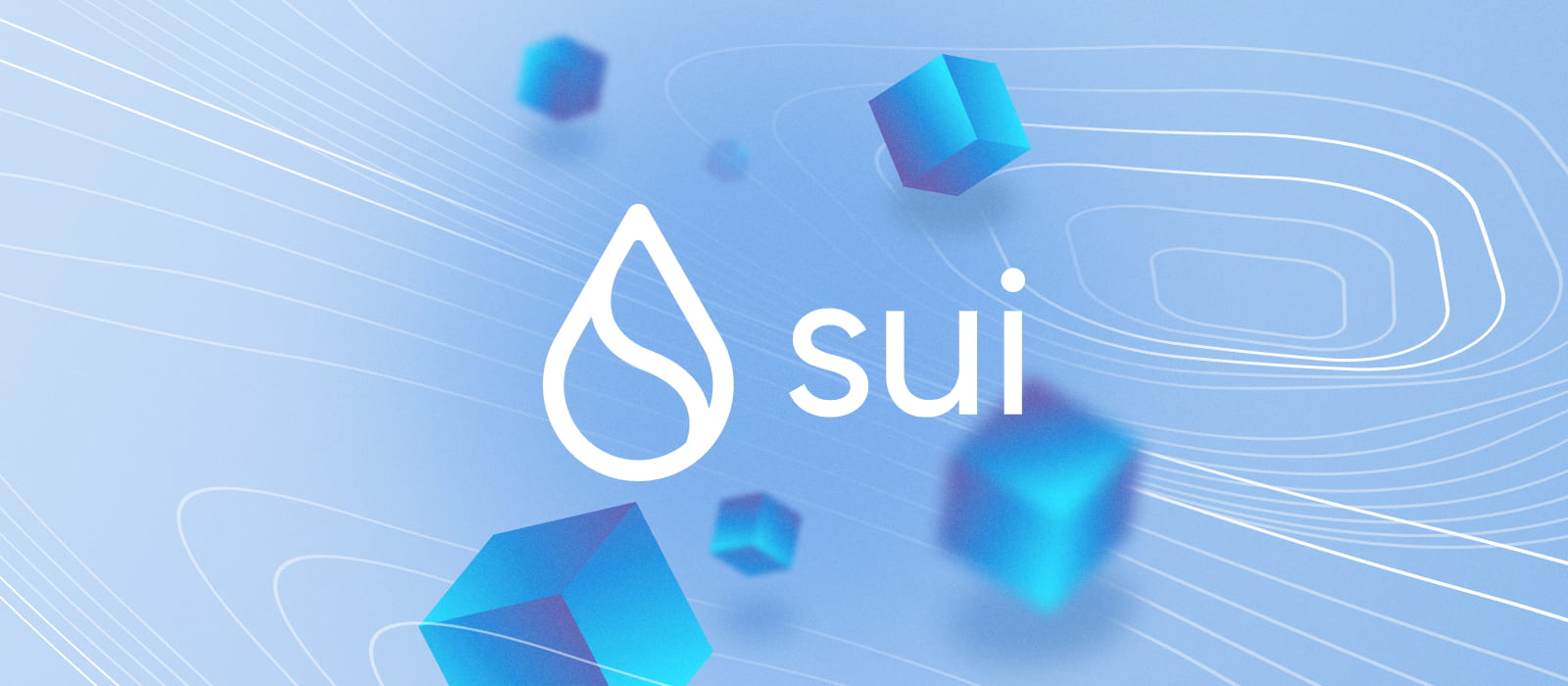 Blog Sui Objects.jpg