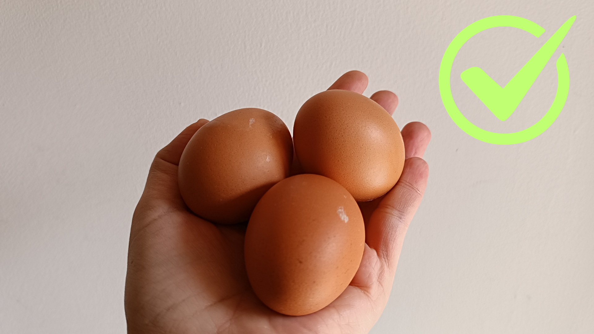 Diseño sin título (7).png