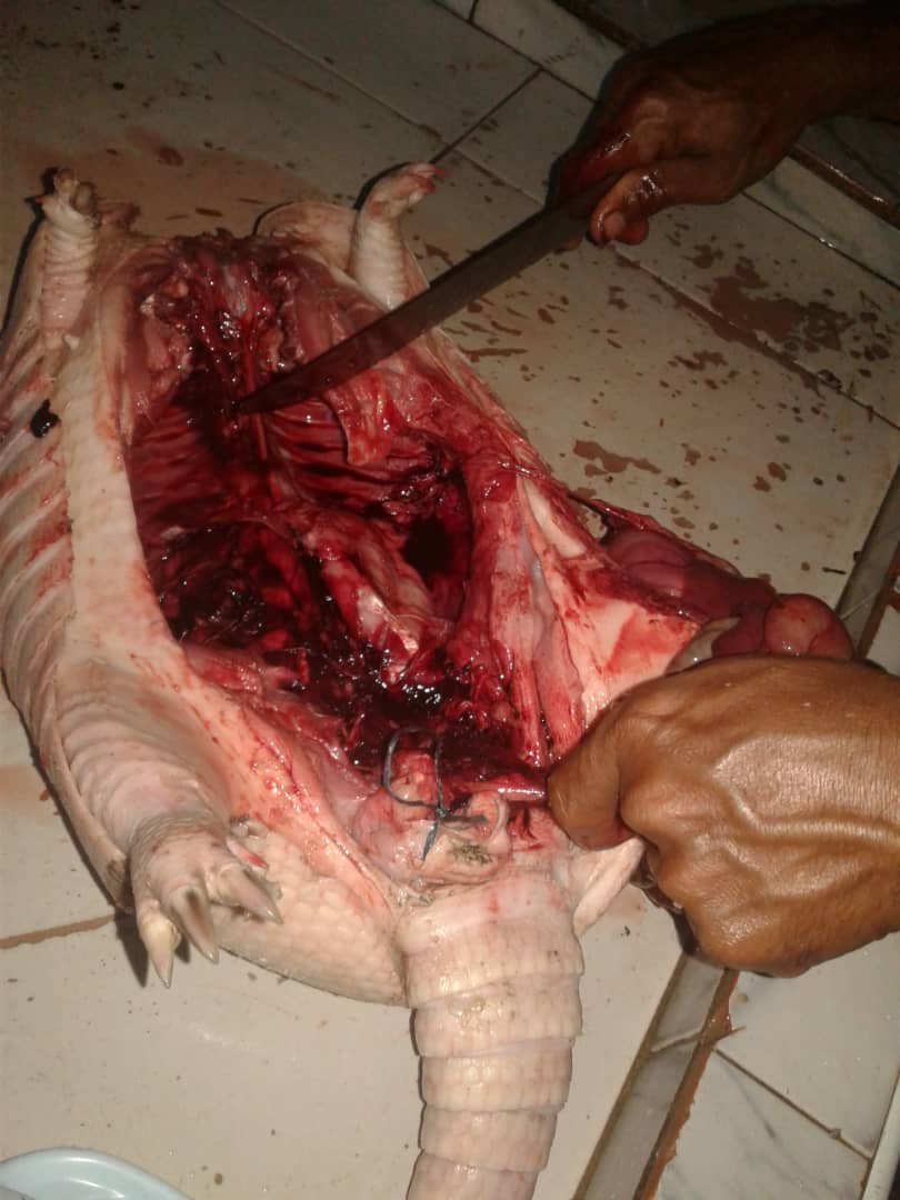 WhatsApp Image 2019-08-28 at 7.05.06 PM(2).jpeg
