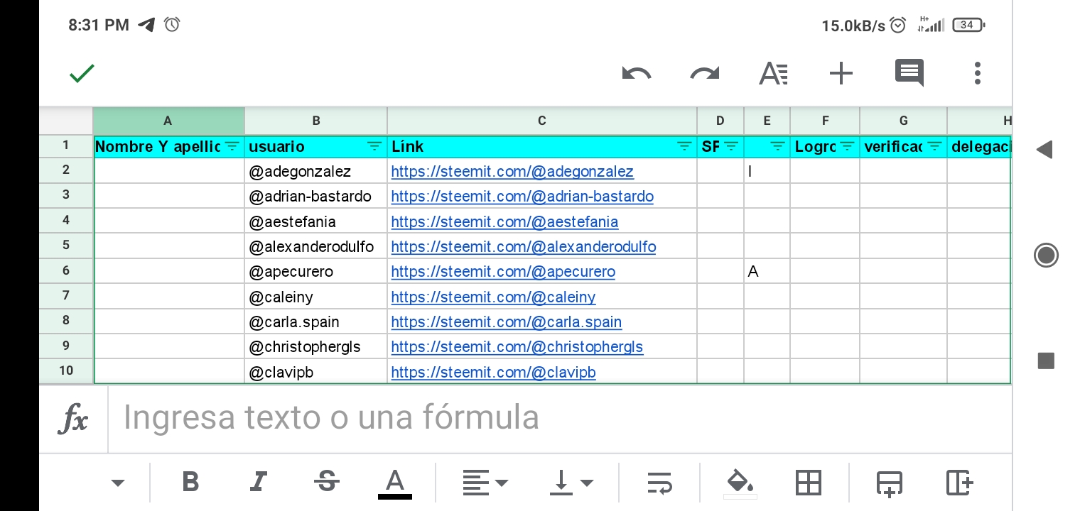 Screenshot_2021-08-31-20-31-43-260_com.google.android.apps.docs.editors.sheets.jpg