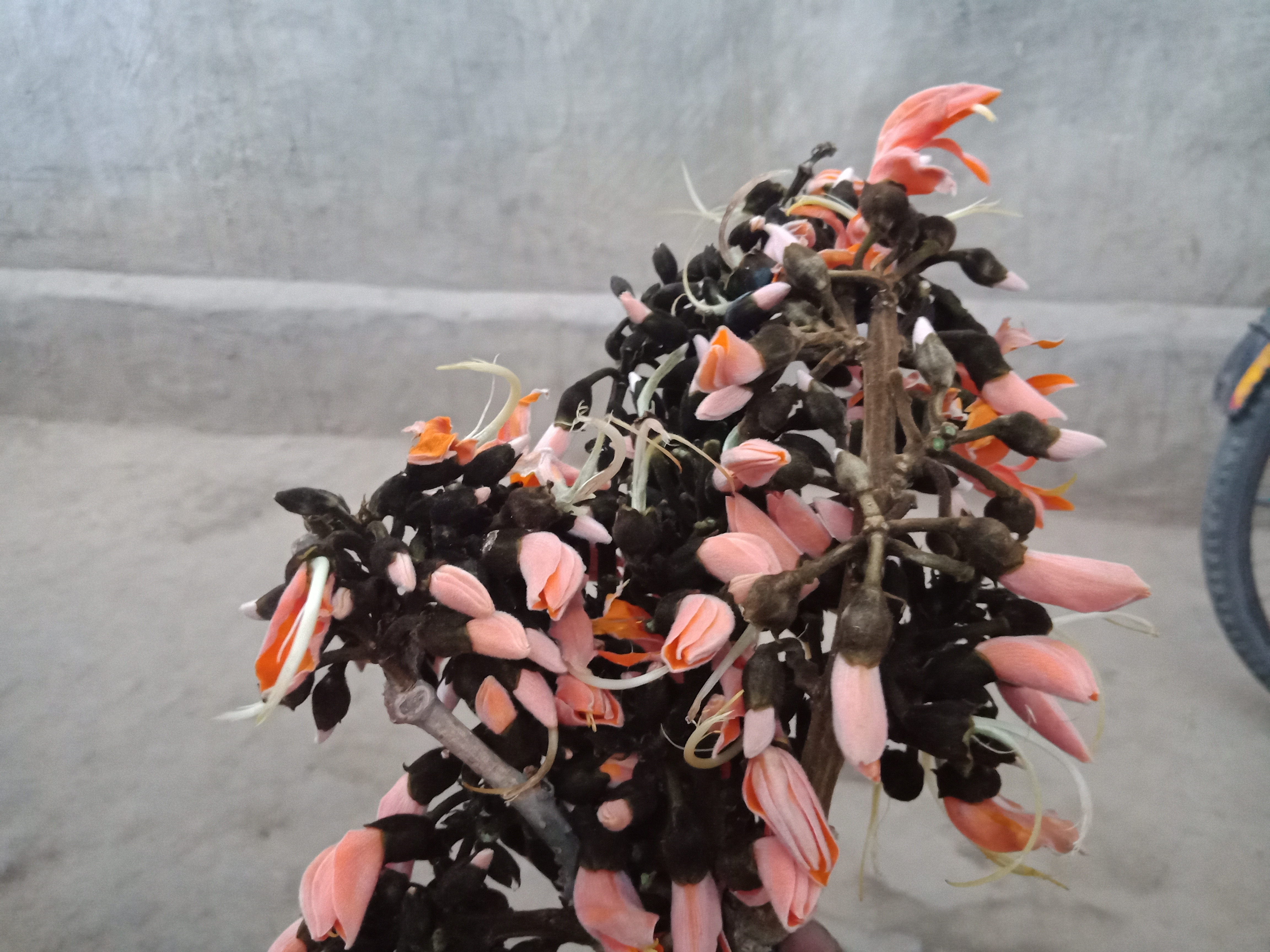IMG20190317174833.jpg