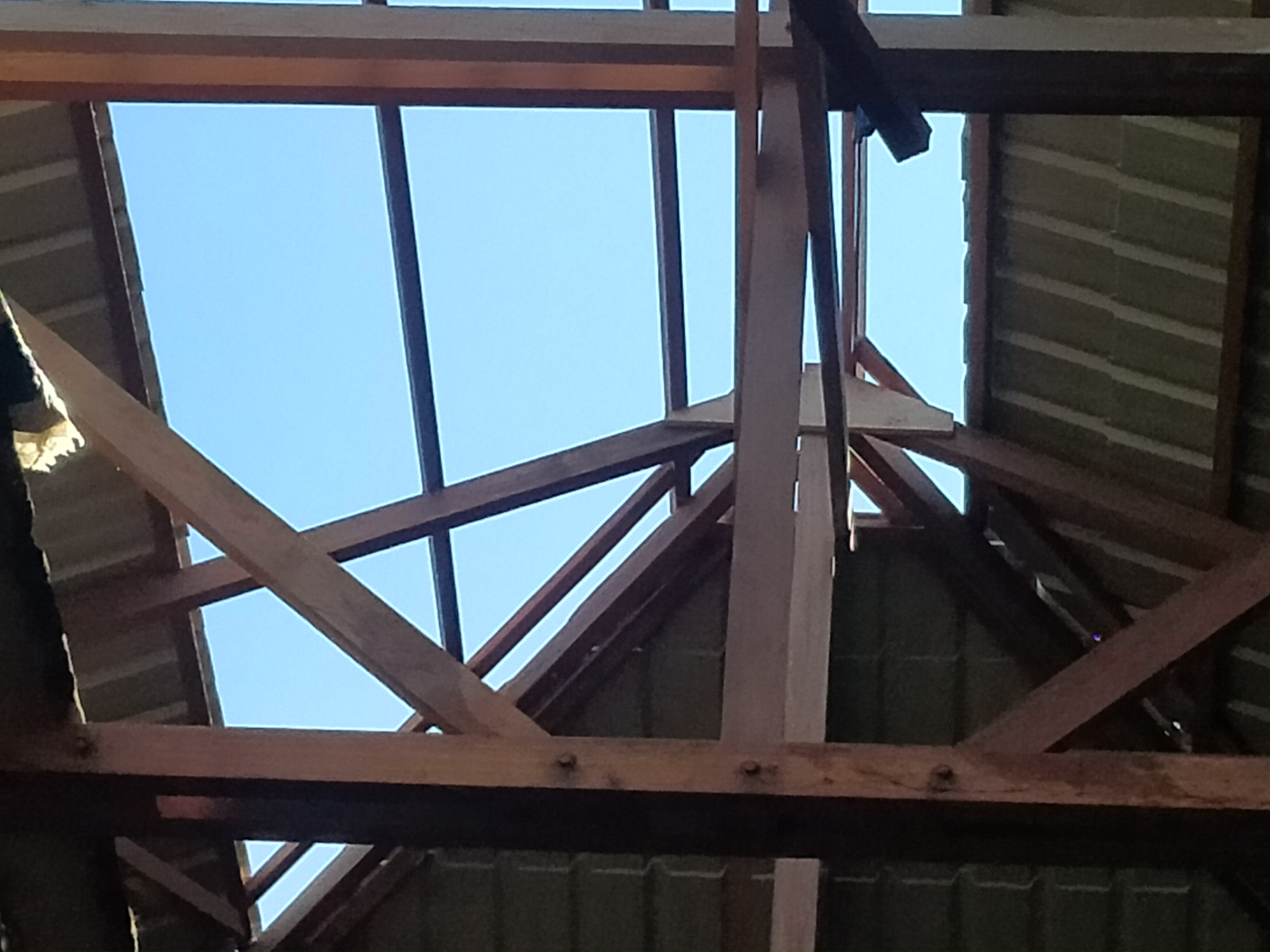 IMG20241208141124.jpg