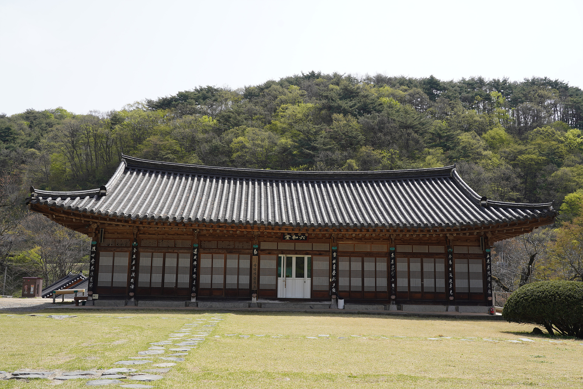 o-DSC08606.jpg