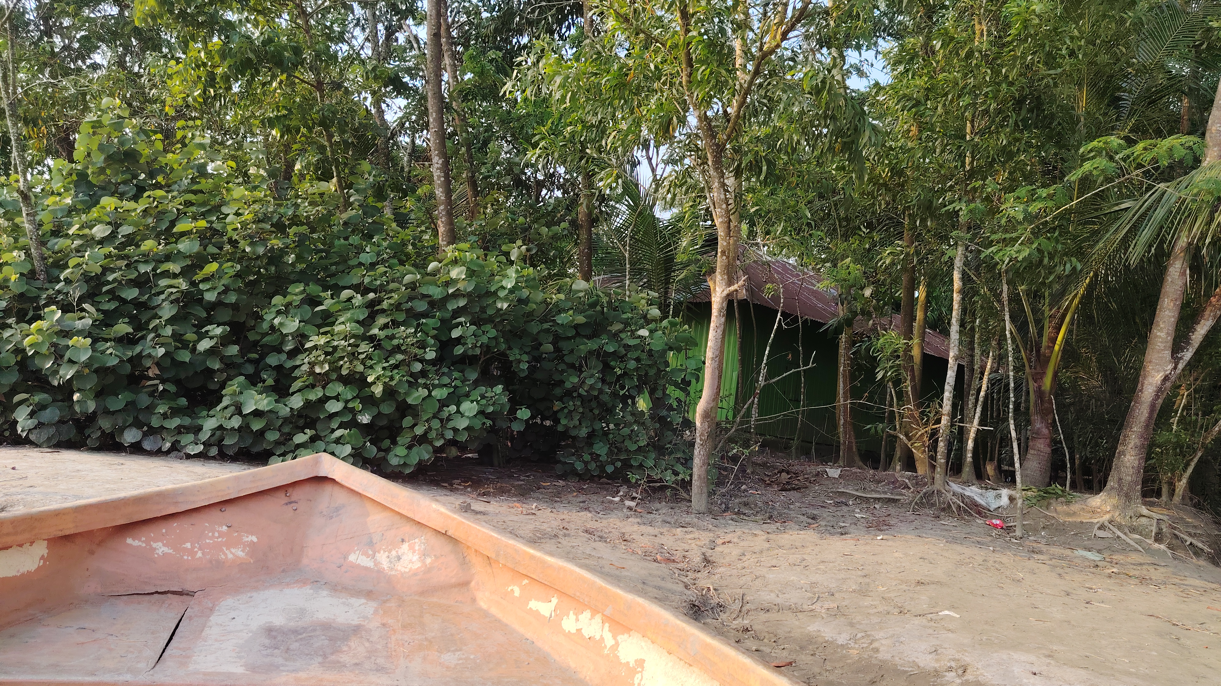 IMG_20260604_165616.jpg