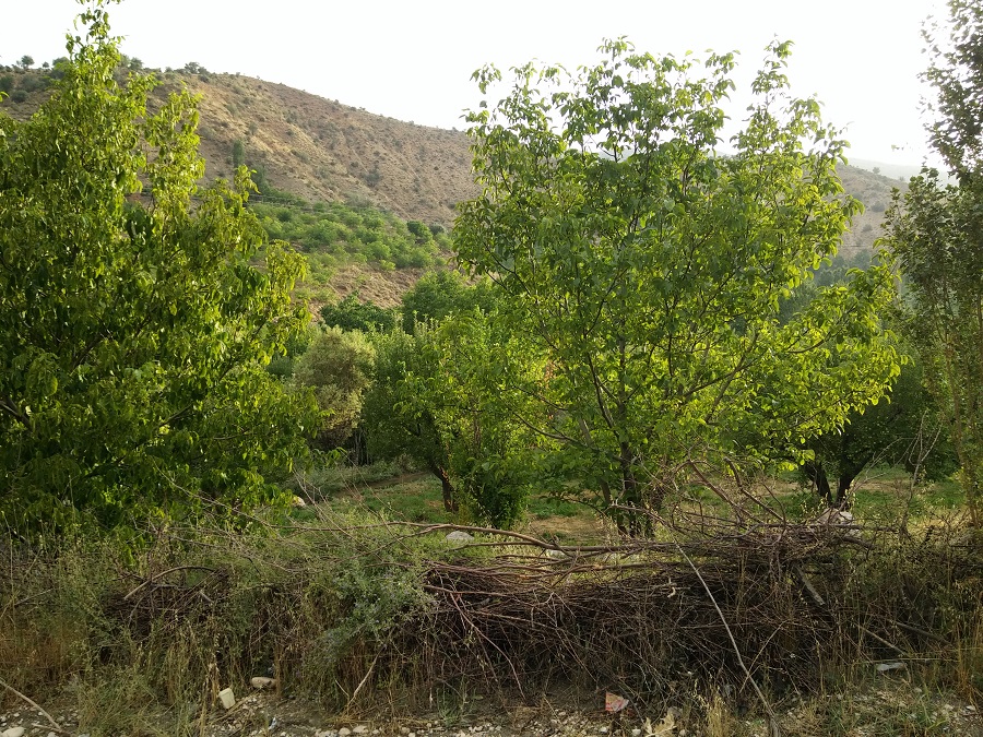 20150725_191528.jpg