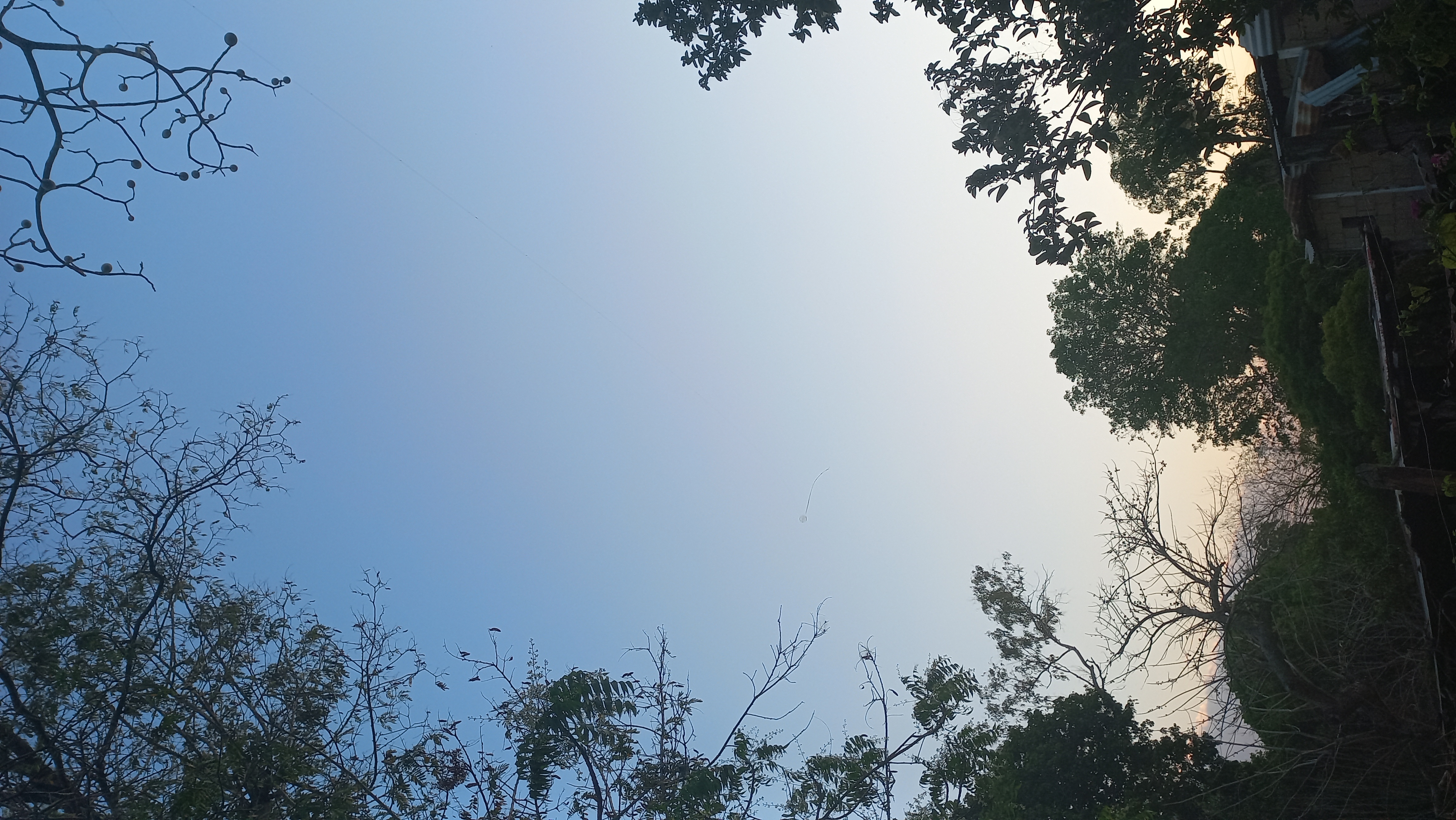 20230326_182353.jpg