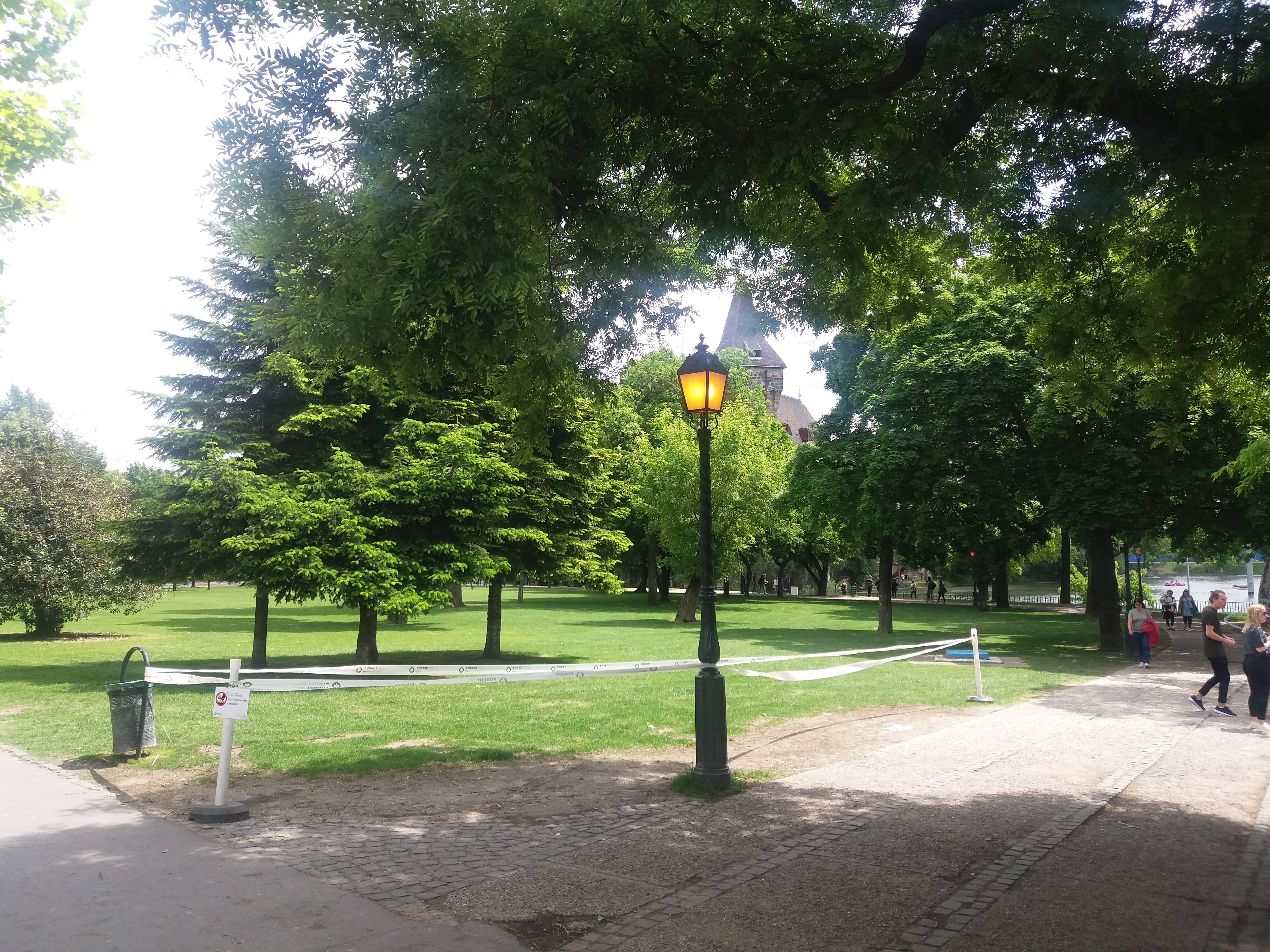 20190521_122143.jpg
