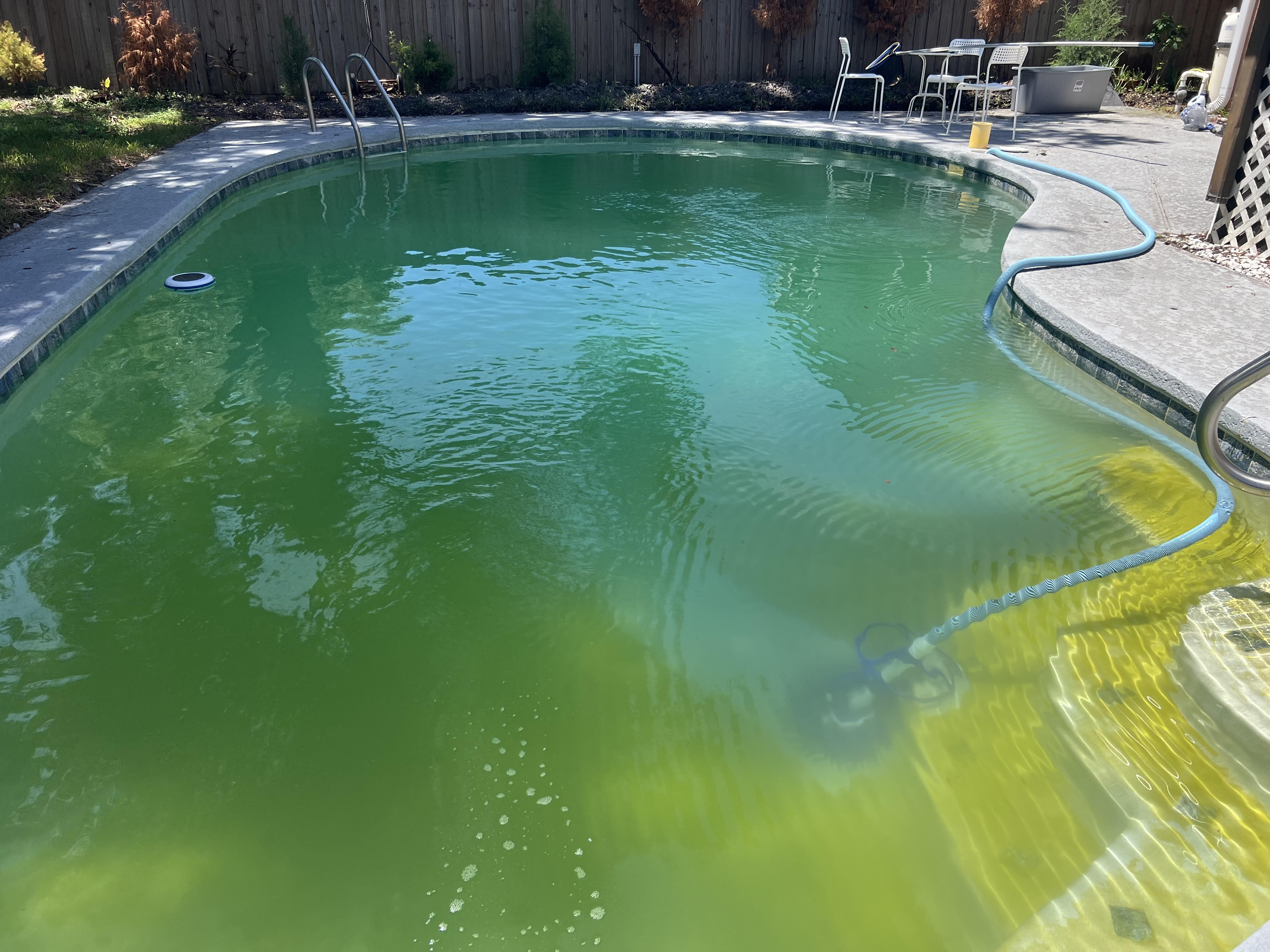 pool 5.jpg