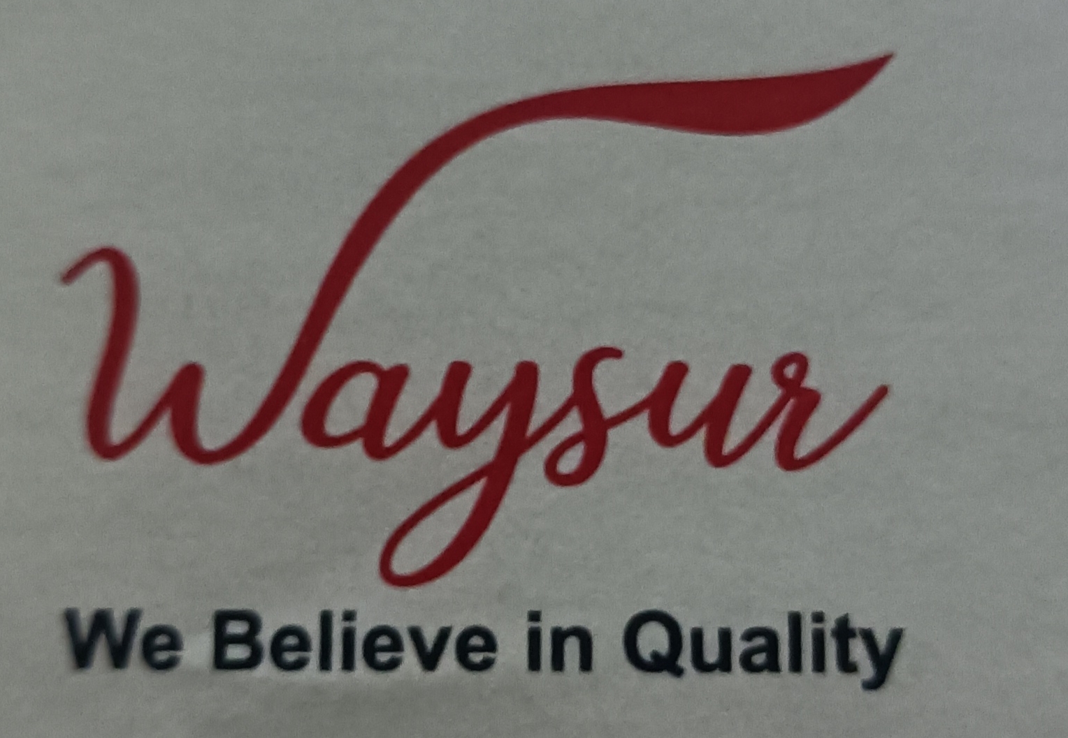 waysur logo.jpg