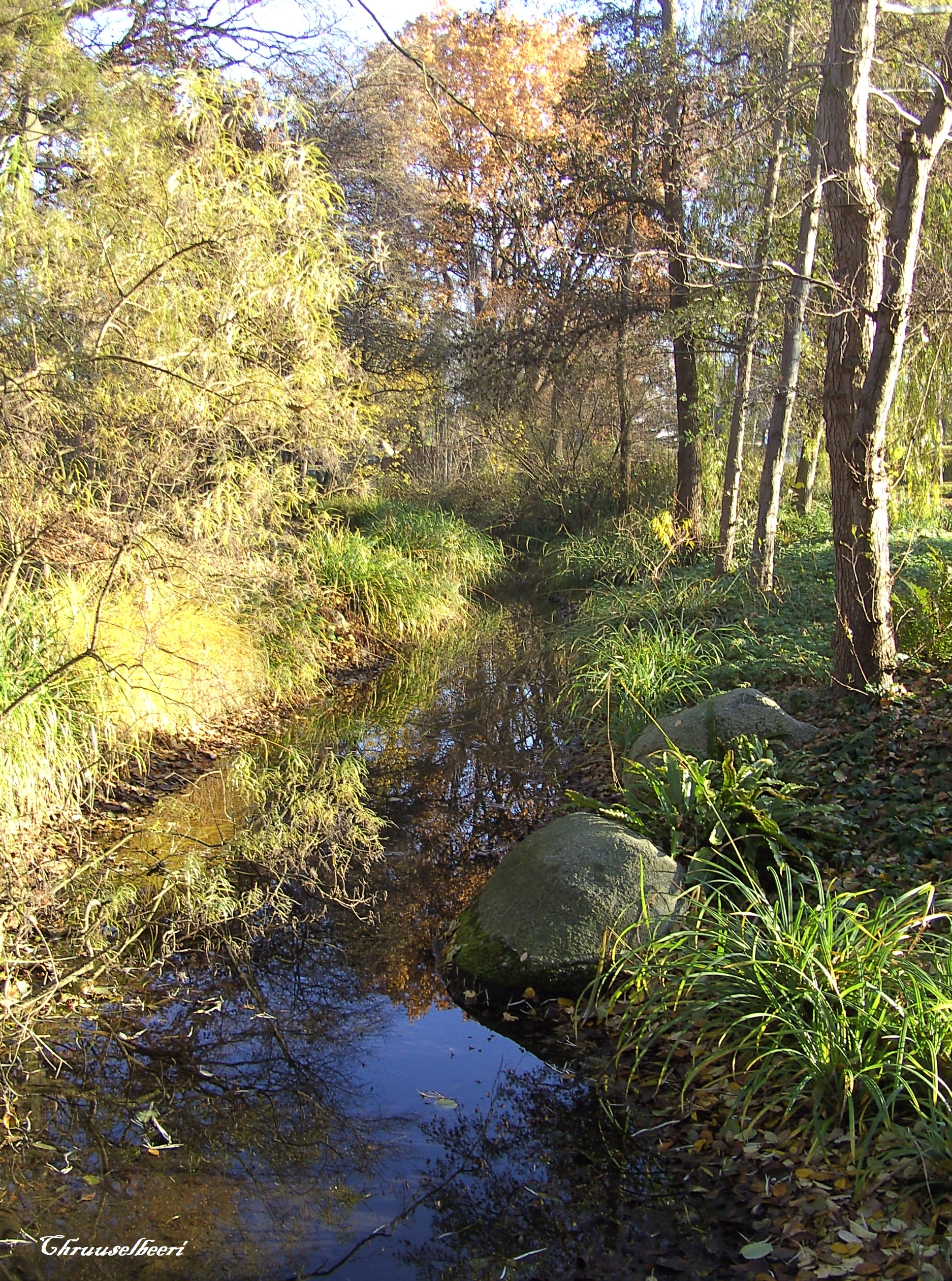 Sonnenstrahlen_05.jpg