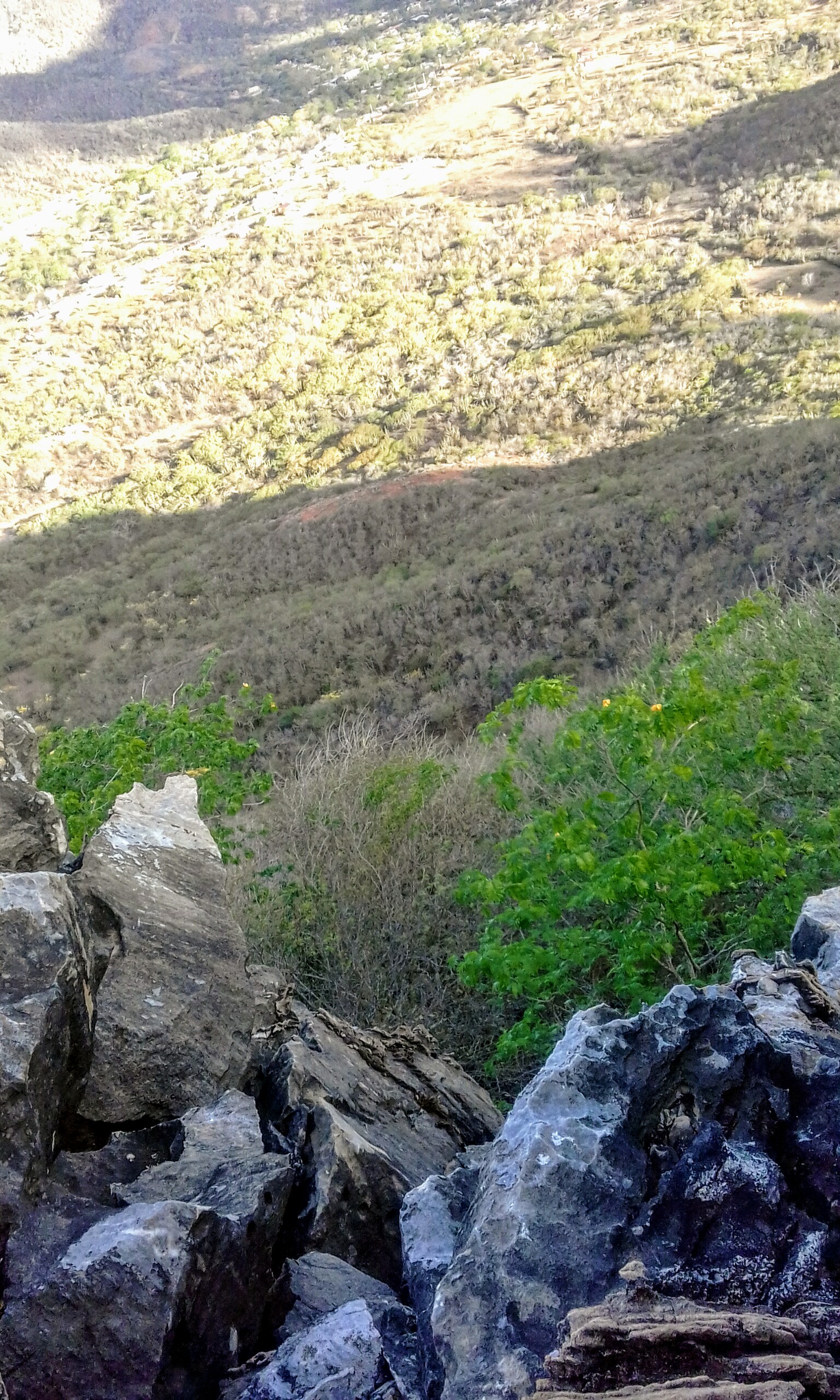 20200707_174034.jpg