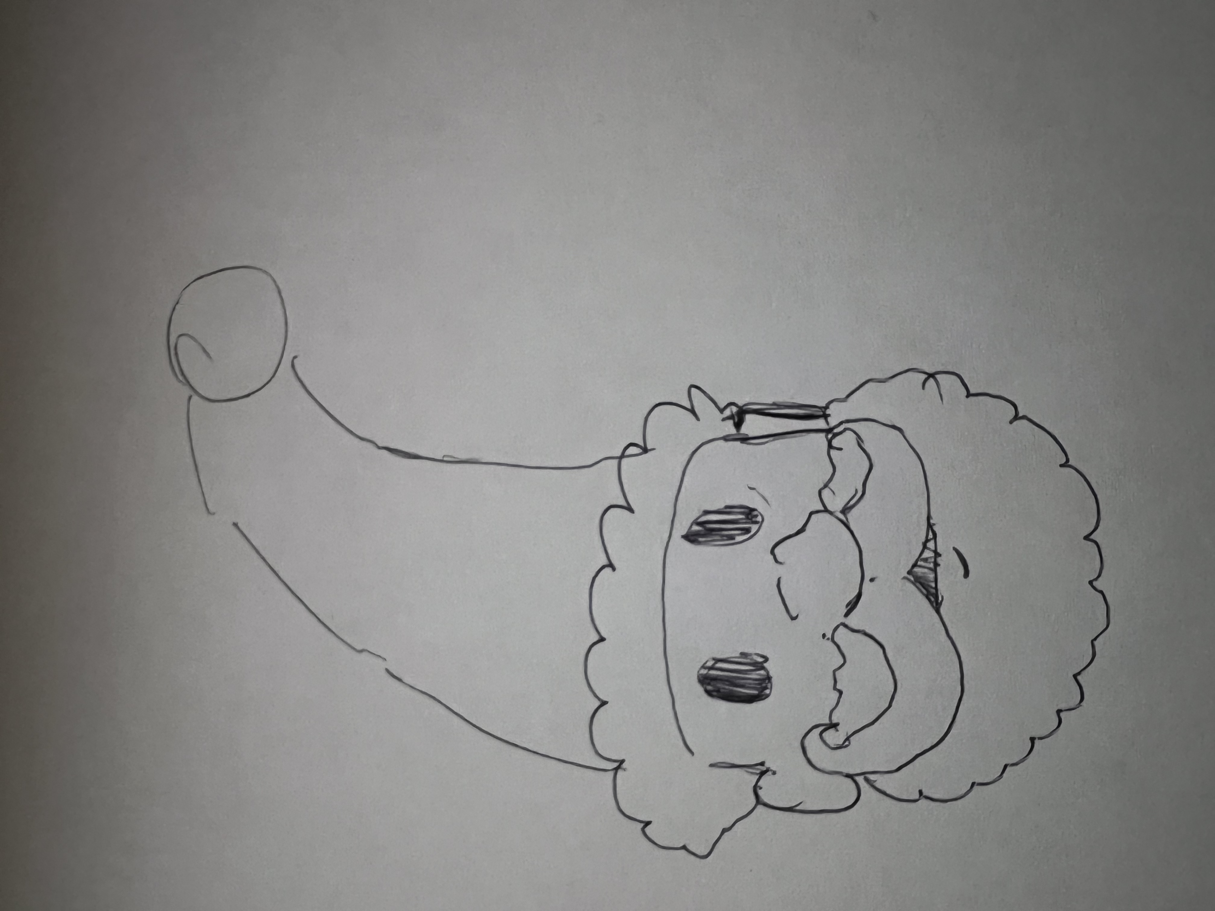 74FC76D1-C71A-4932-8B87-19825A4DEC7E.jpeg