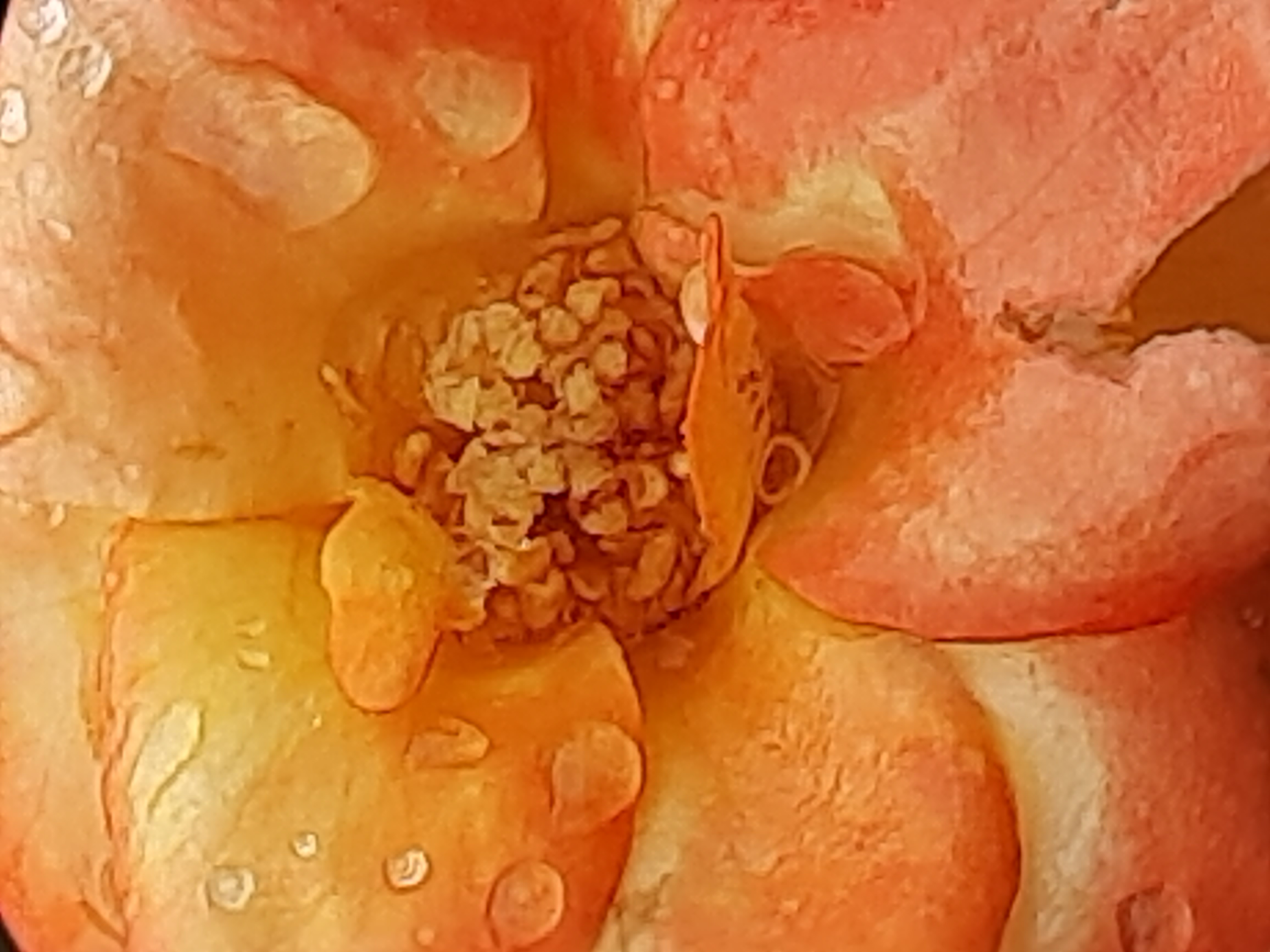 20230825_080133.jpg