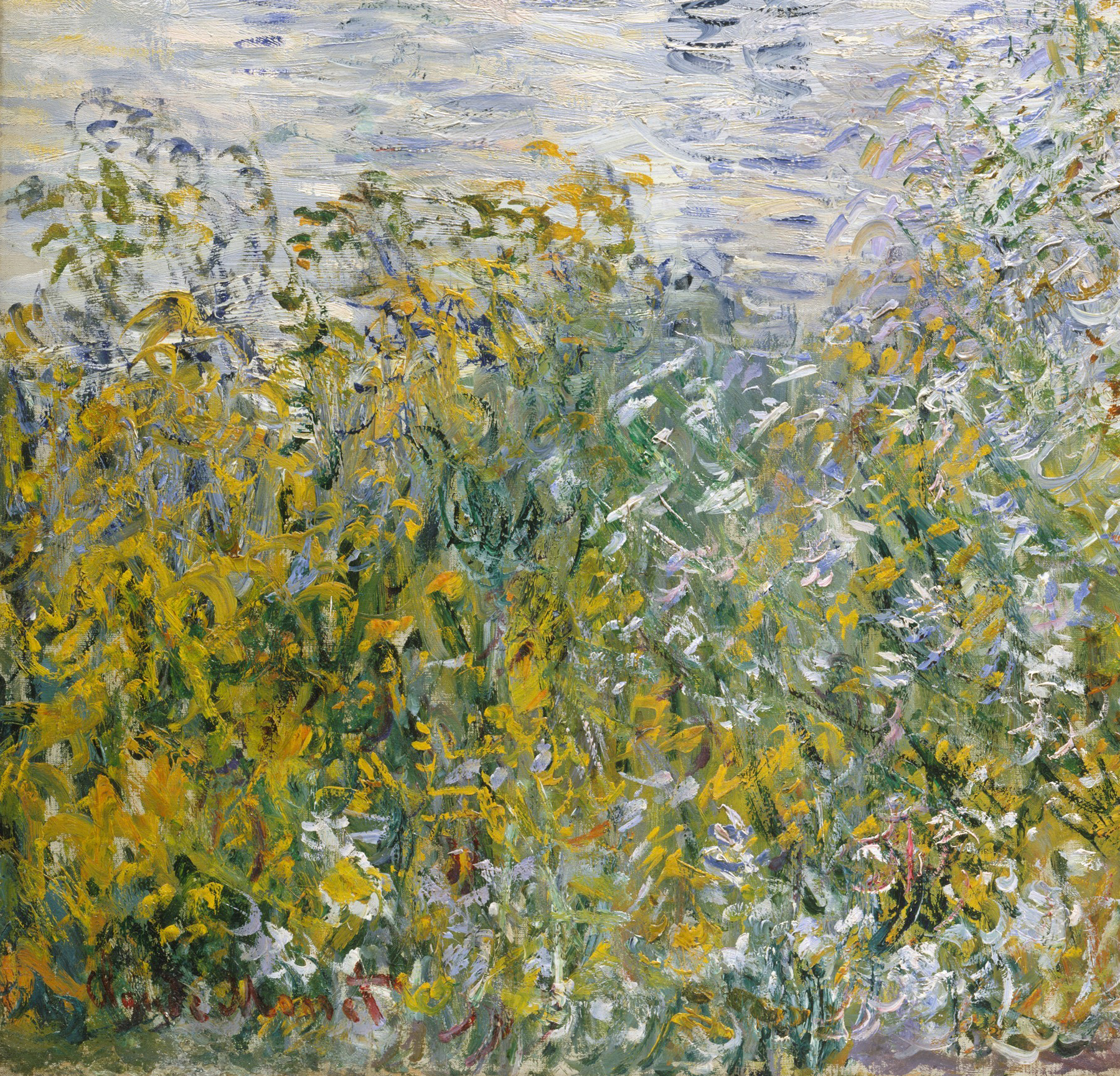 monet2_4.jpg