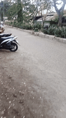 gif_temp.gif