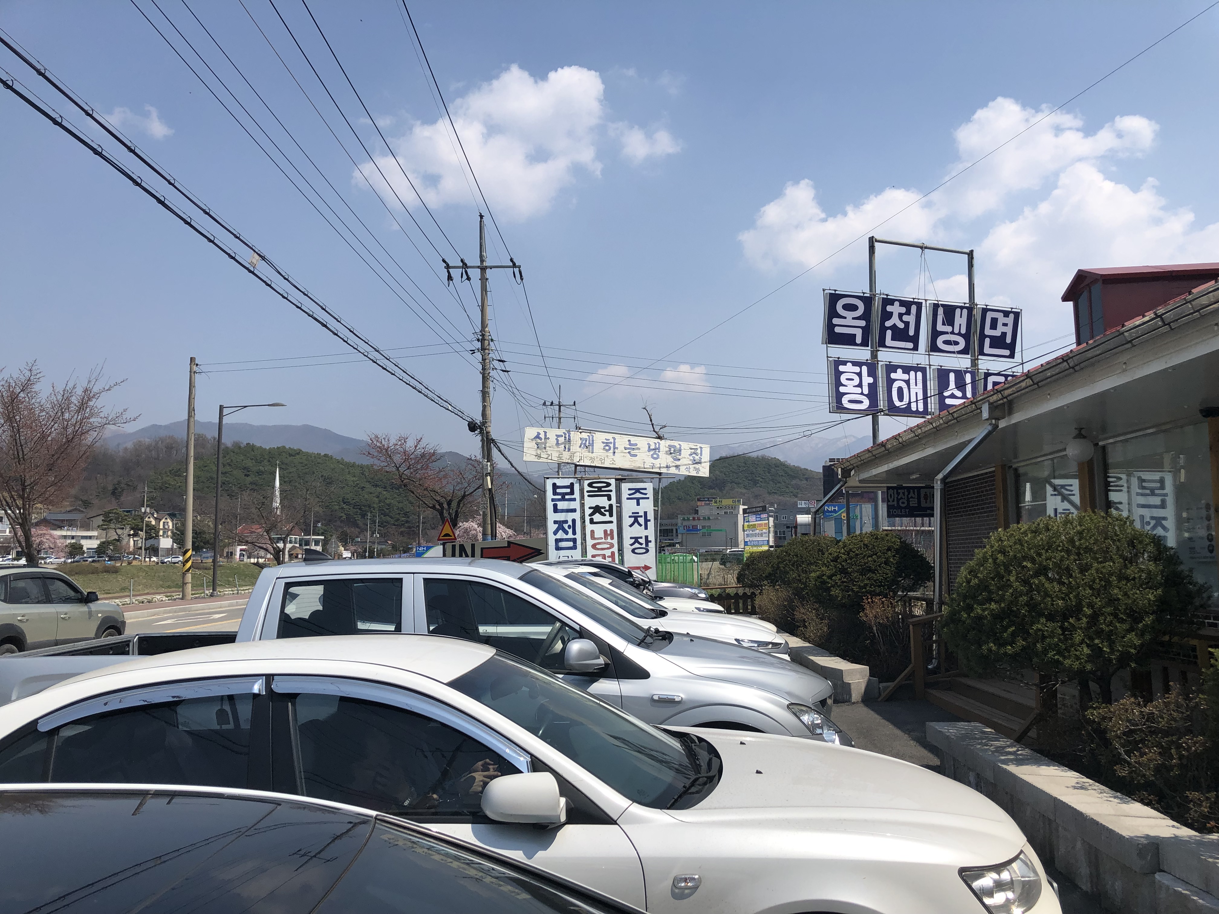 IMG_0289.jpeg