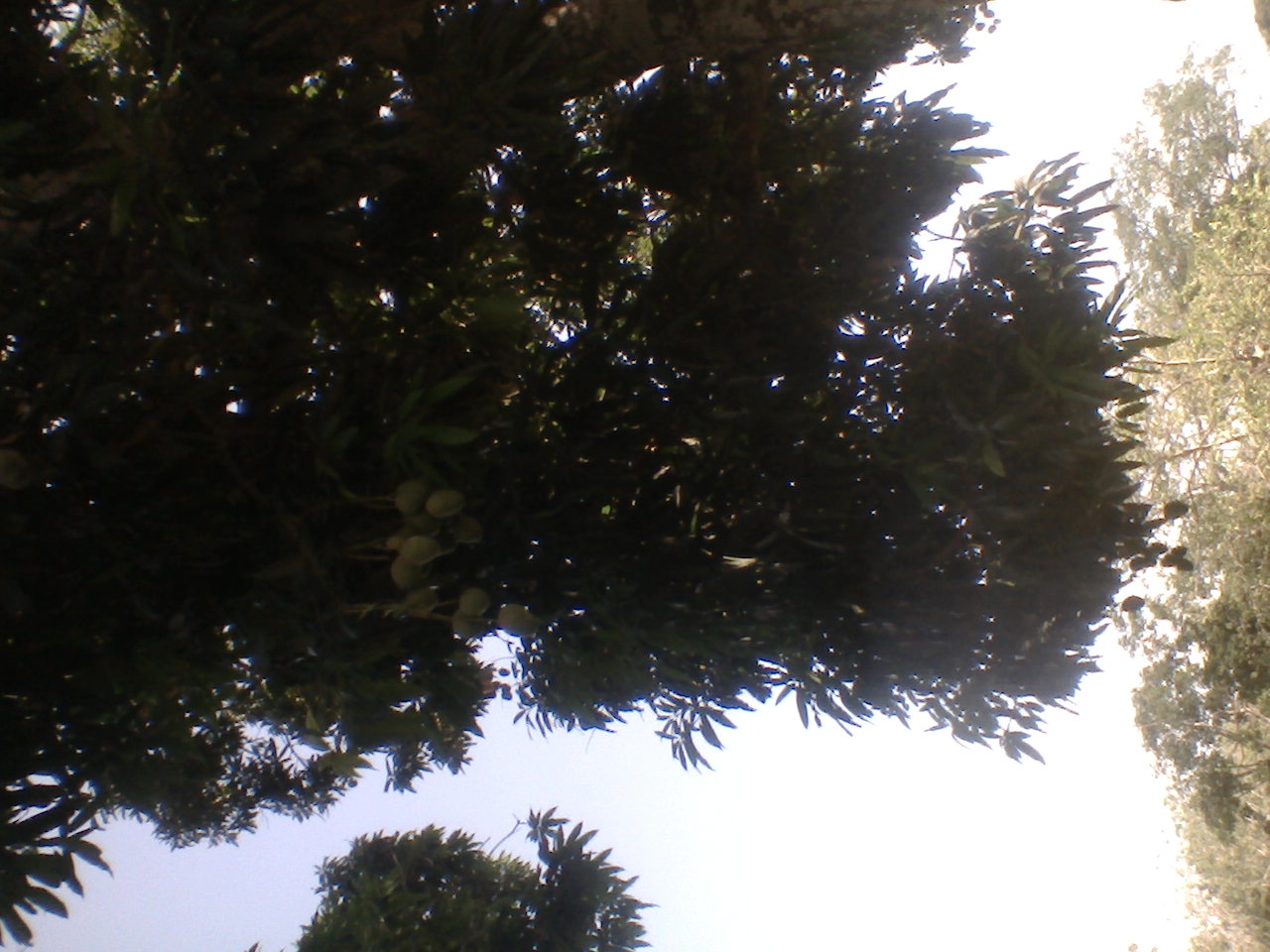 Foto0041.jpg
