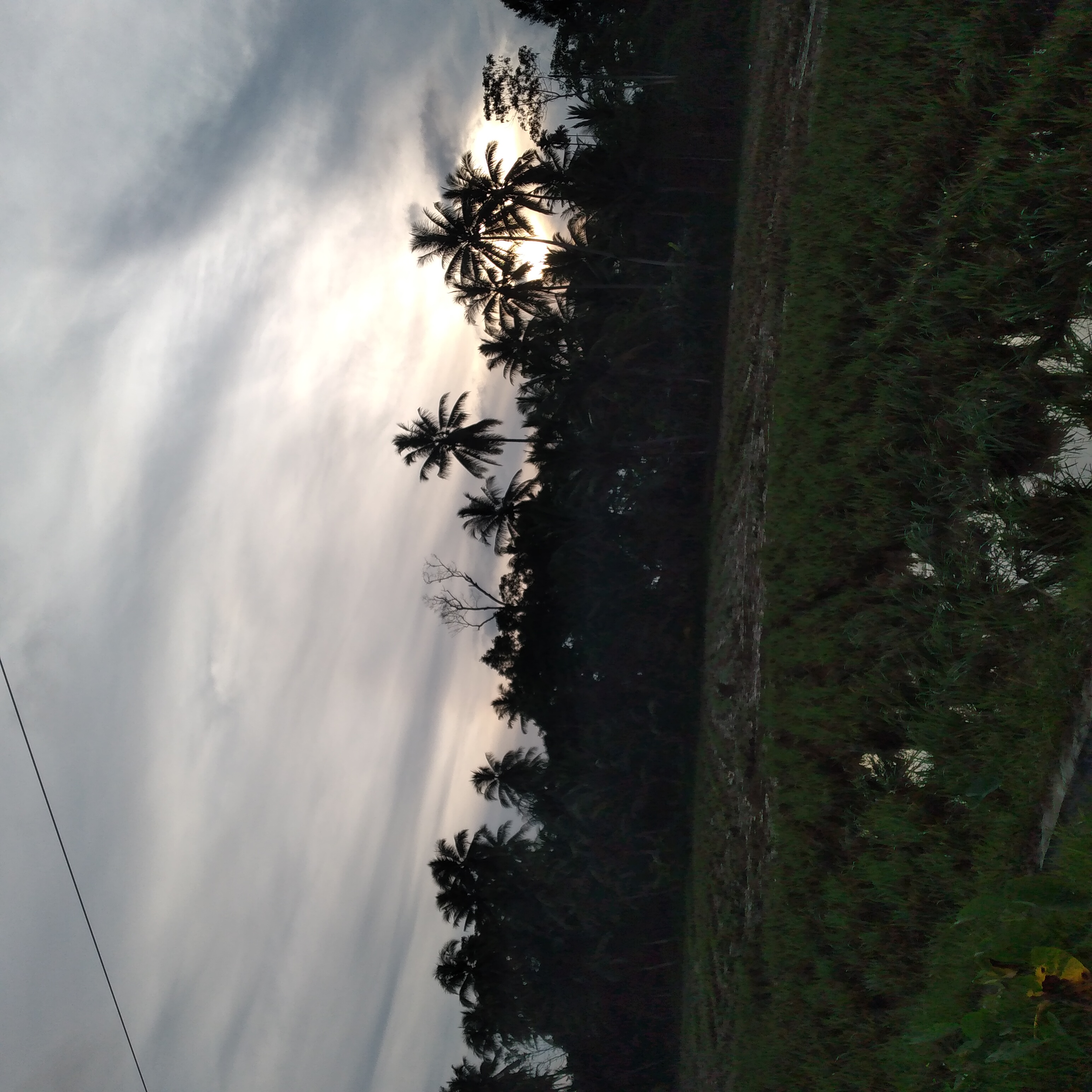 20221224_071432.jpg