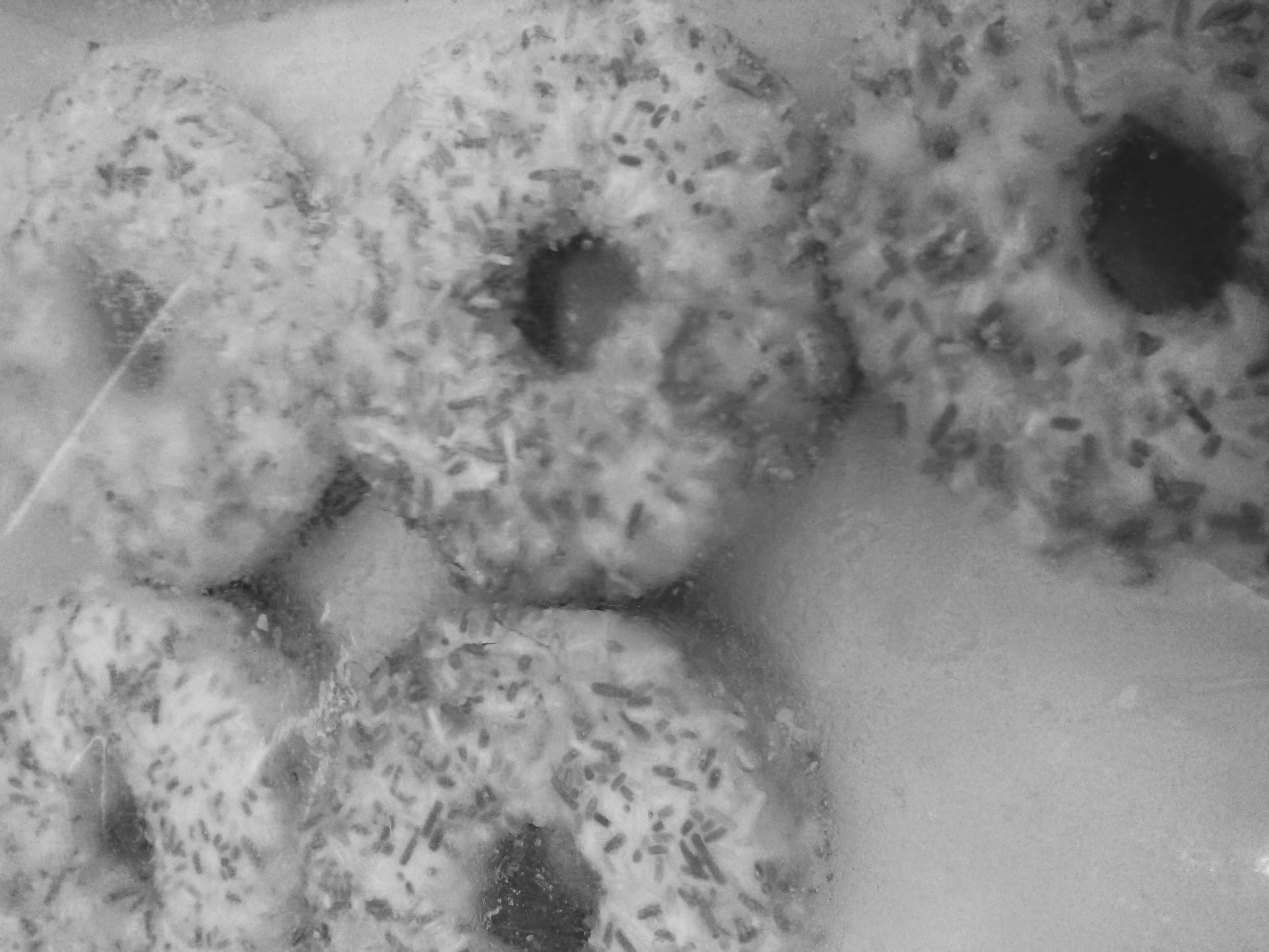 Food Photography,B&W Donuts 5 Snow Covered Pack From Work June 2nd 2017.jpg
