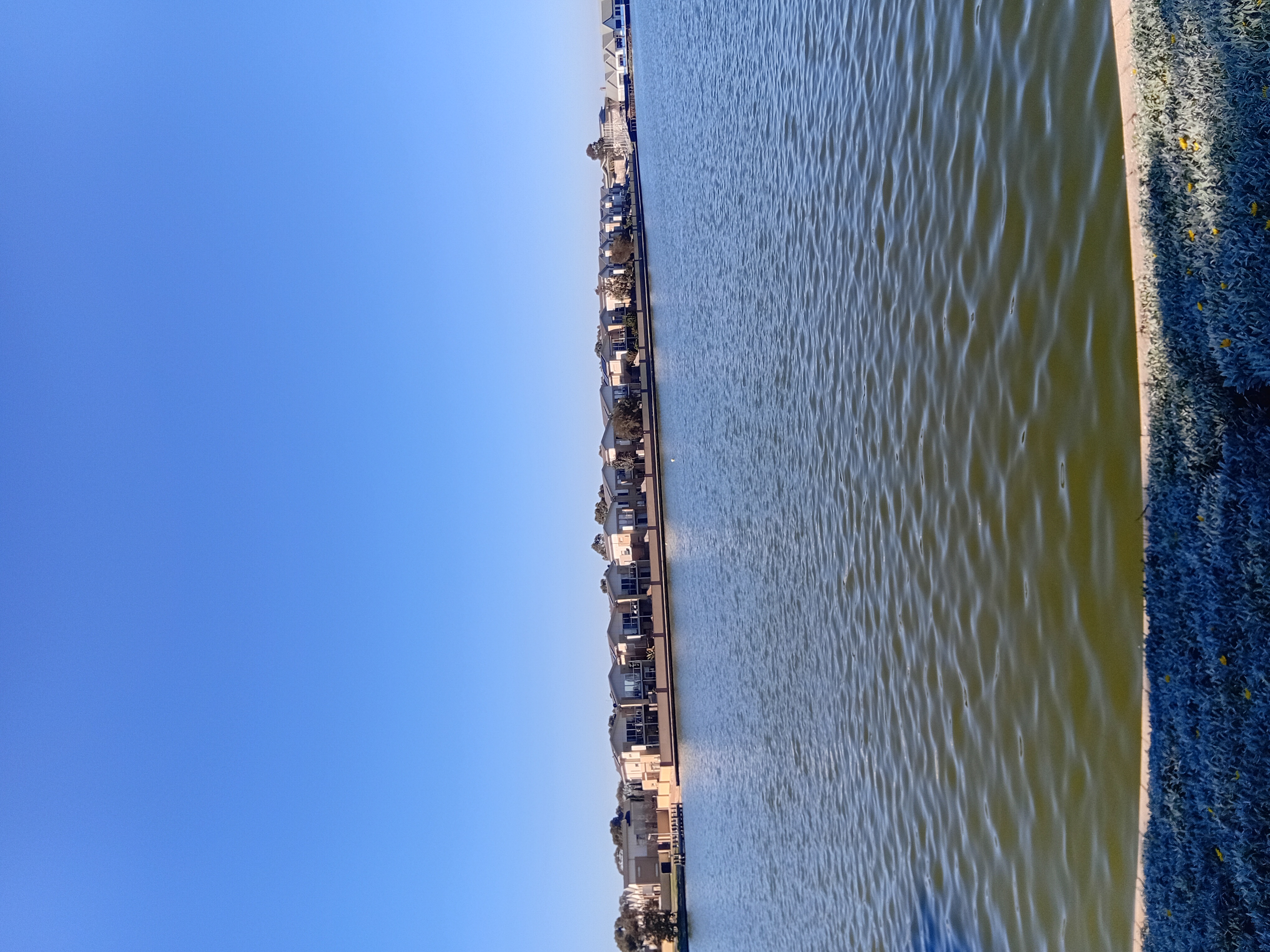 20260831_144945.jpg