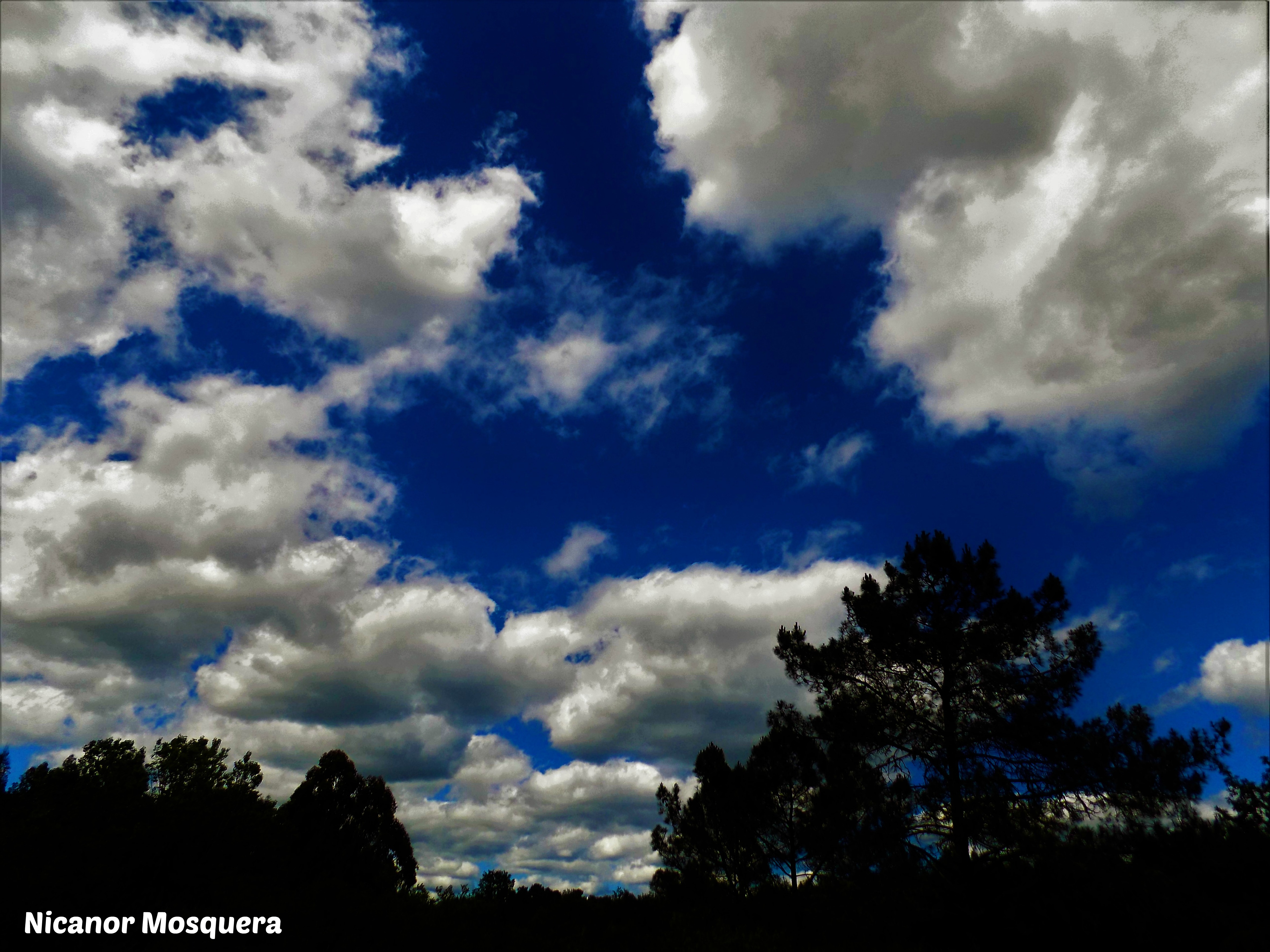 DSCN1260.jpg