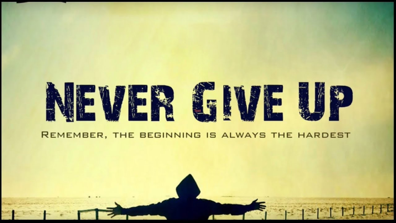 Перевод песни never give you up