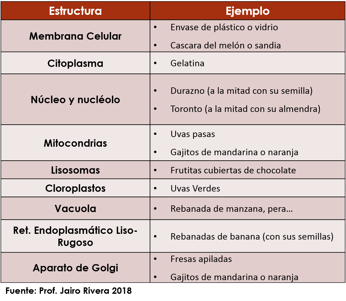 cuadro celula.png