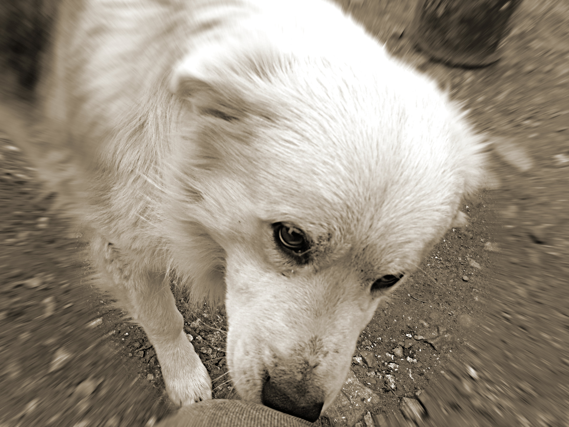 20181208_140130.jpg