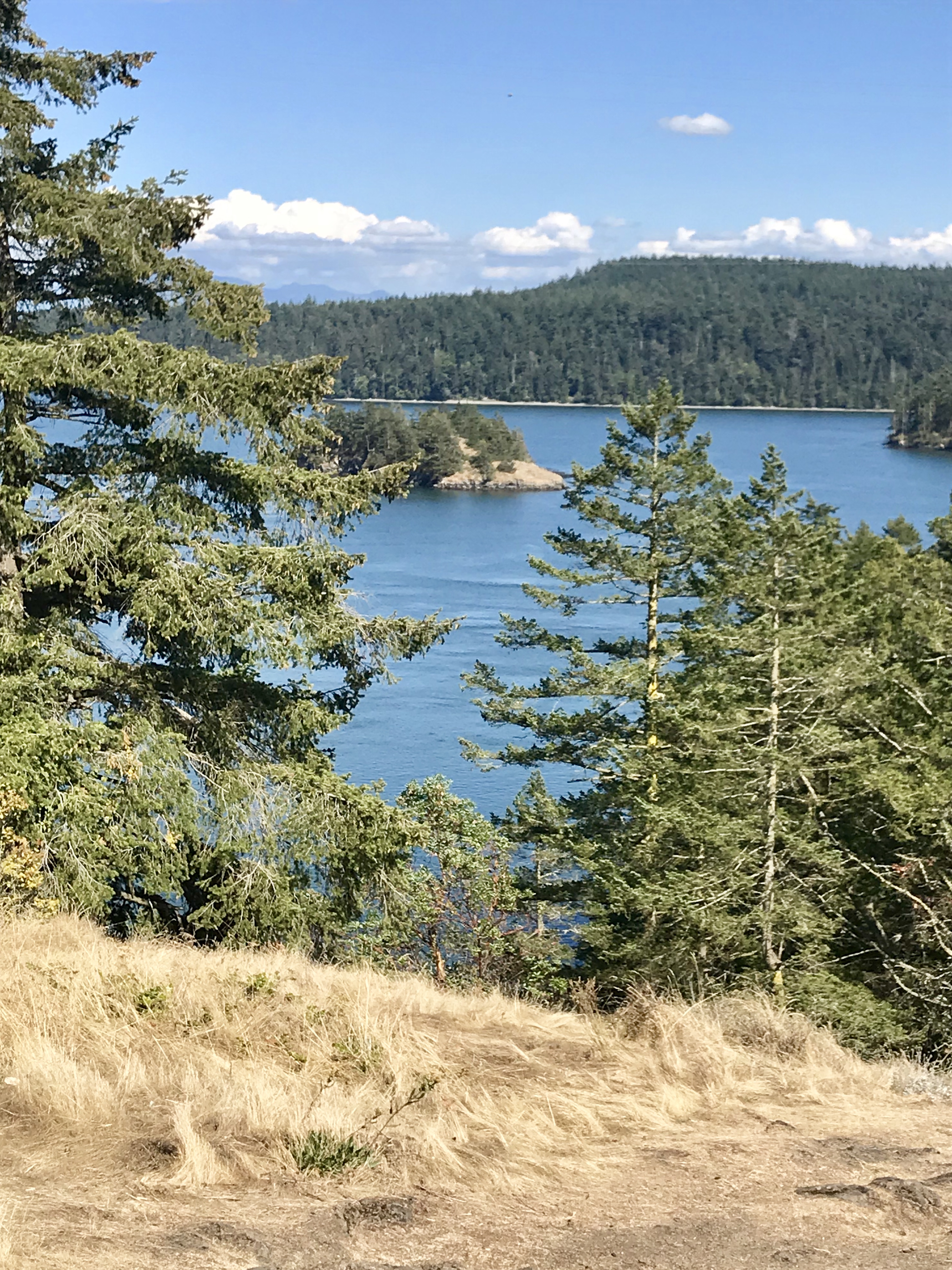 02966019-A7AE-4F59-B8A8-17E39A02D1E2.jpeg