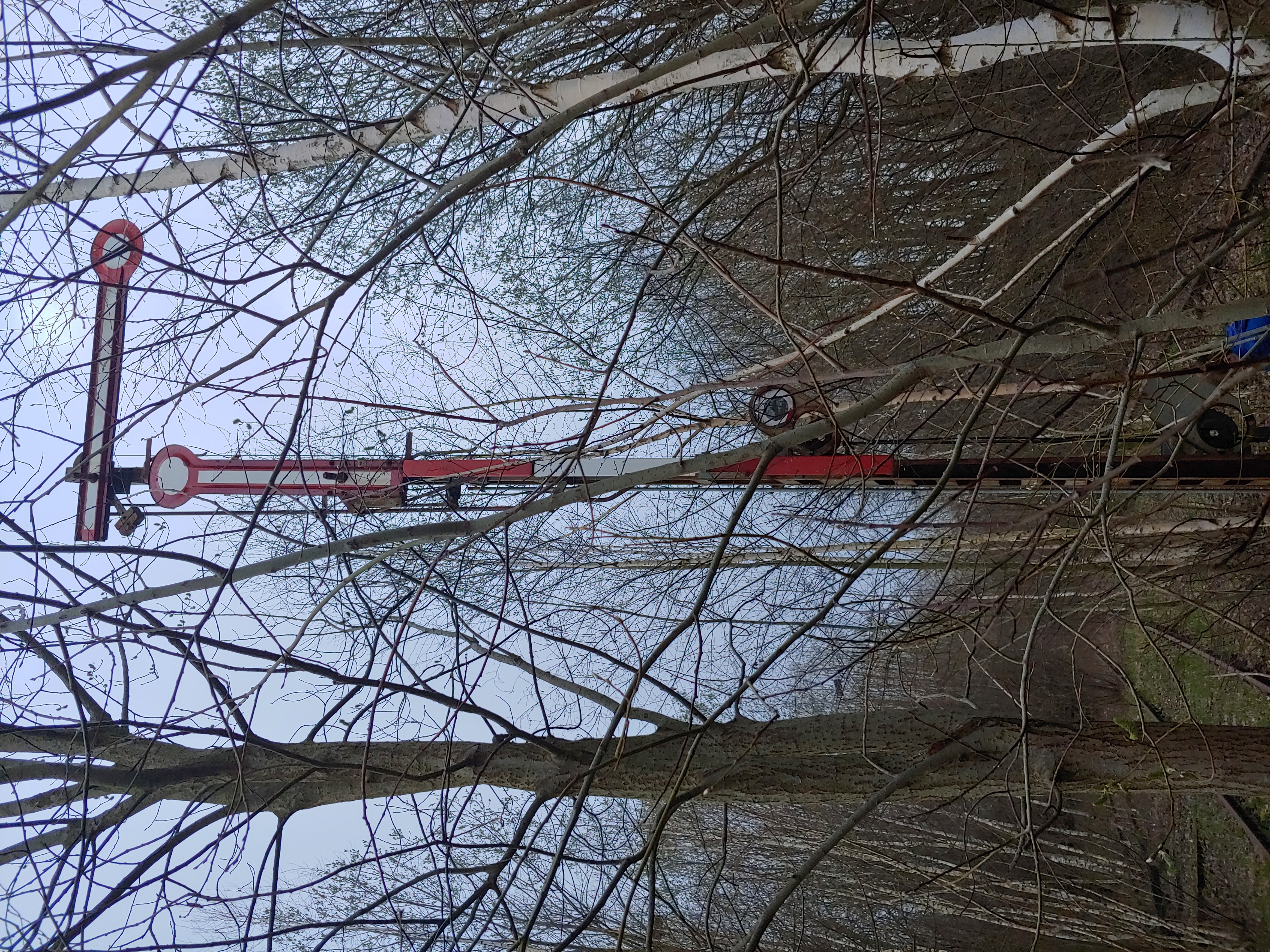 20210417_192224_HDR.jpg