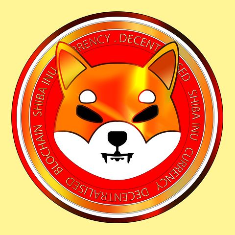 shiba-6723441__480.jpg