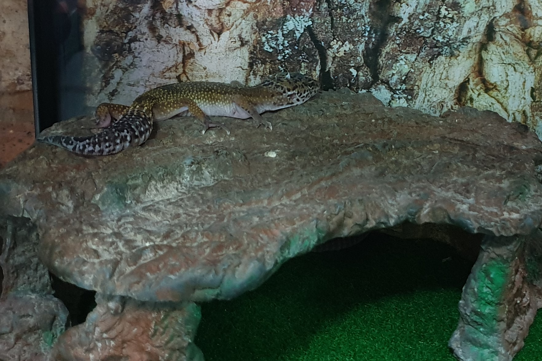 20190417_101530 (2).jpg