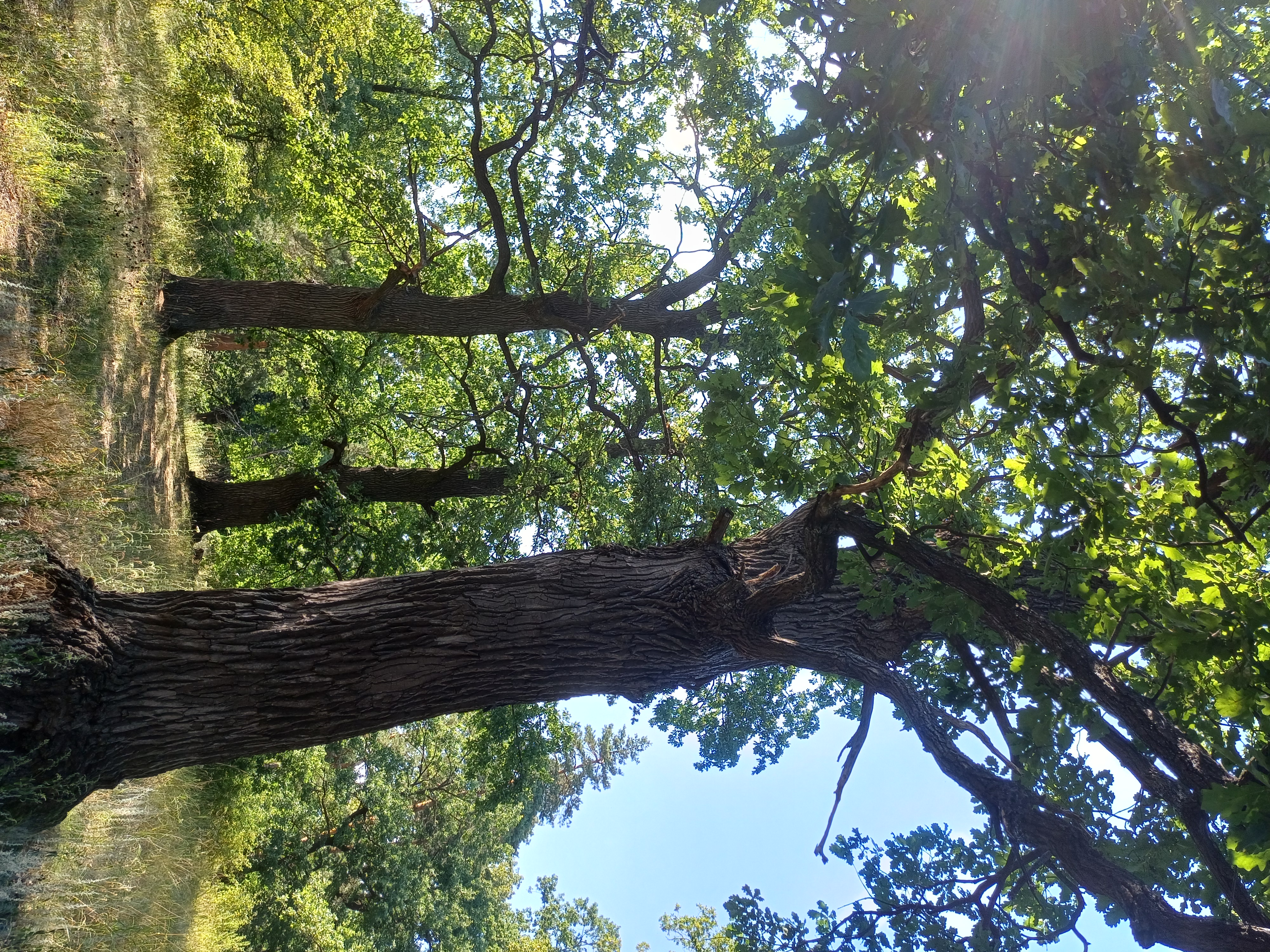 20260726_161558.jpg