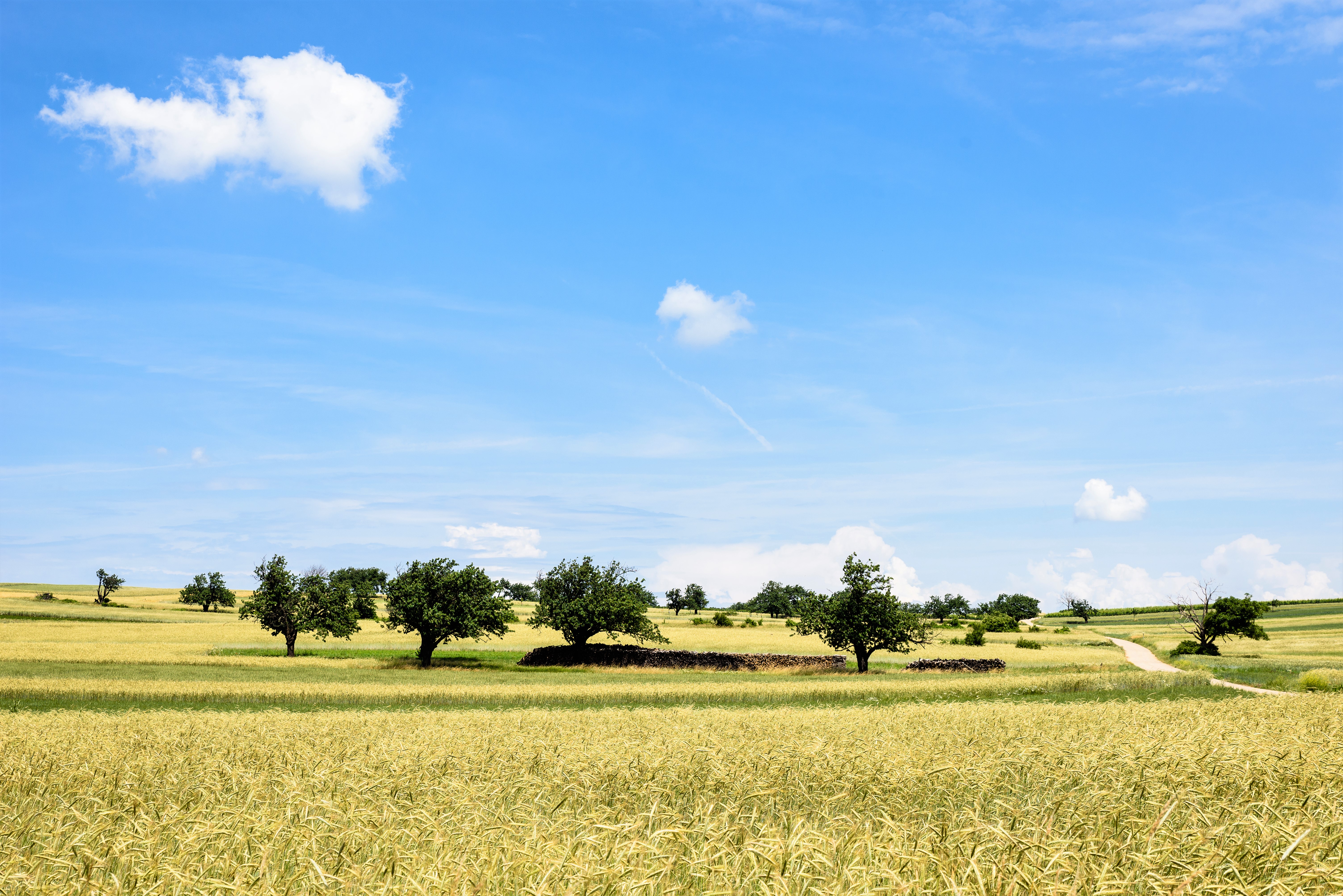 Martalwaldweg-3 (2).jpg