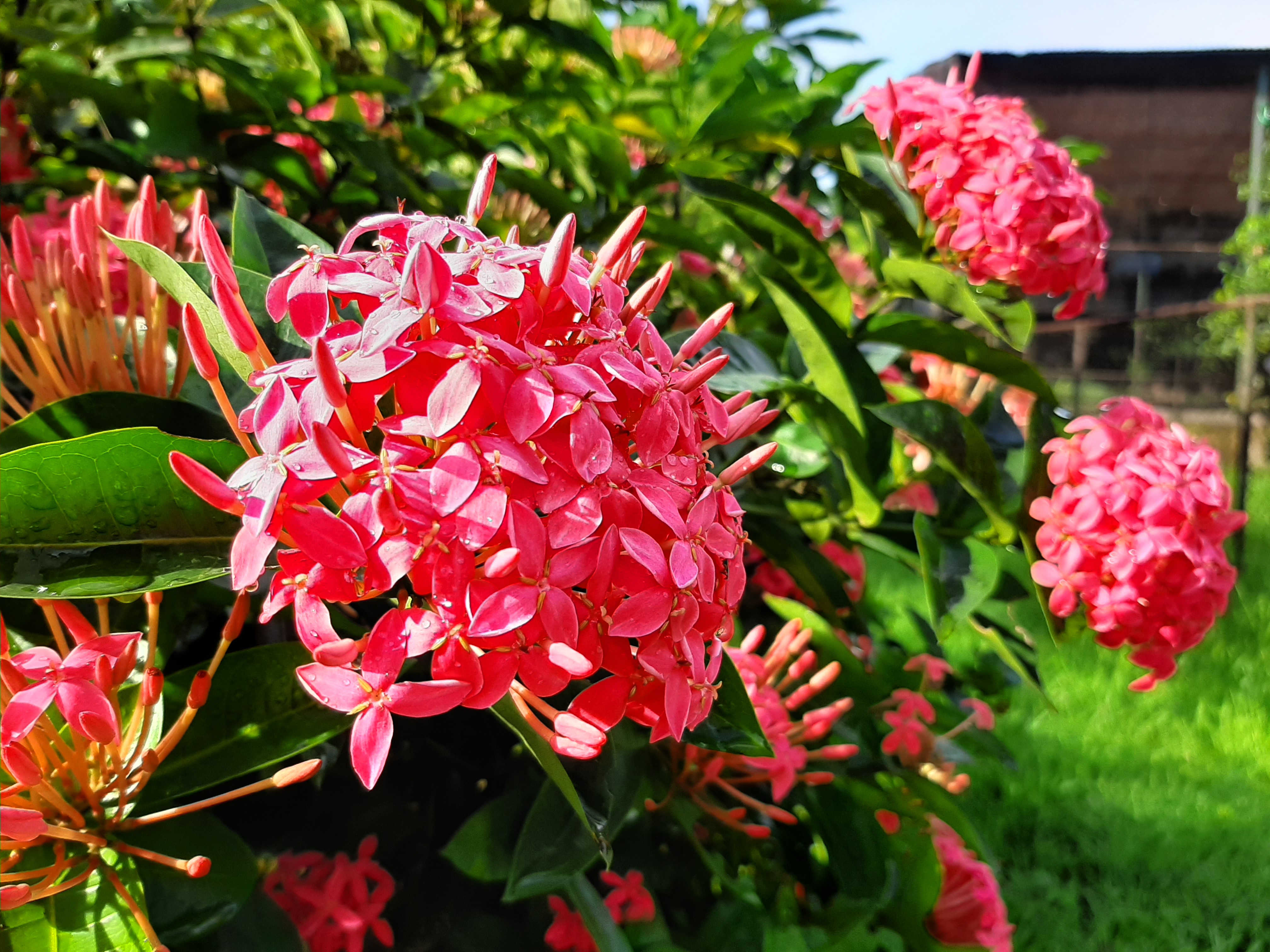 20190705_161857.jpg