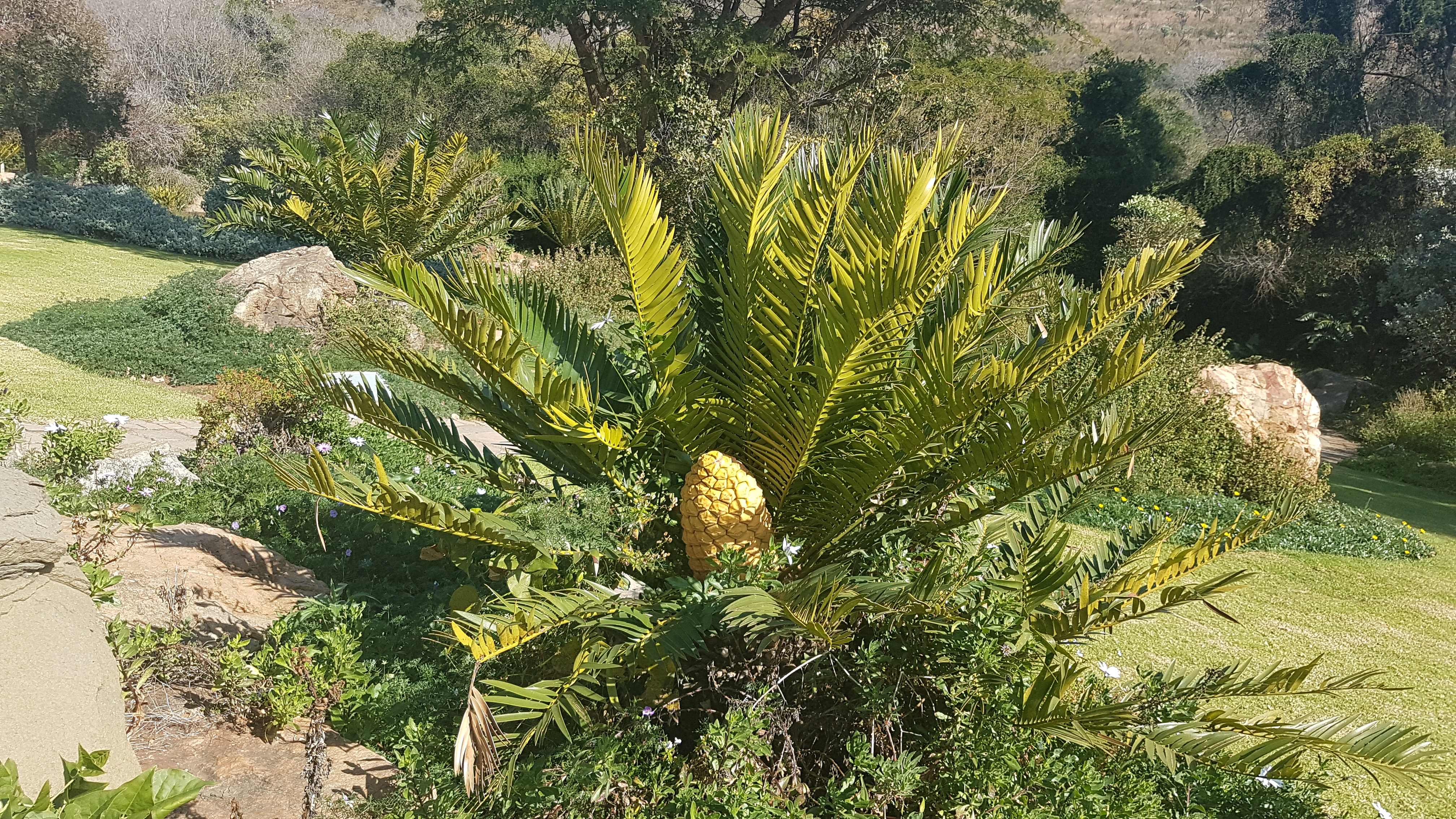 20180625_113807.jpg