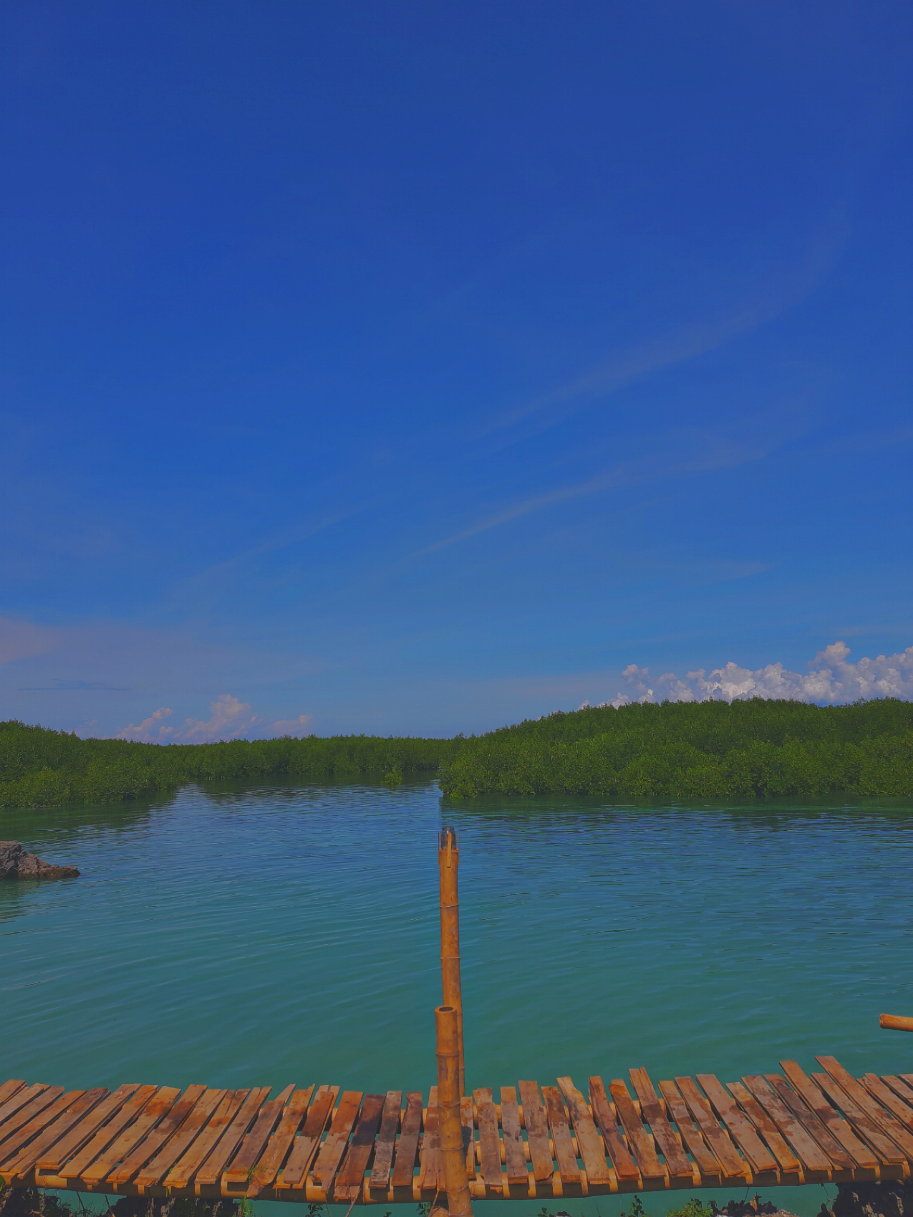PicsArt_05-30-12.40.15.jpg