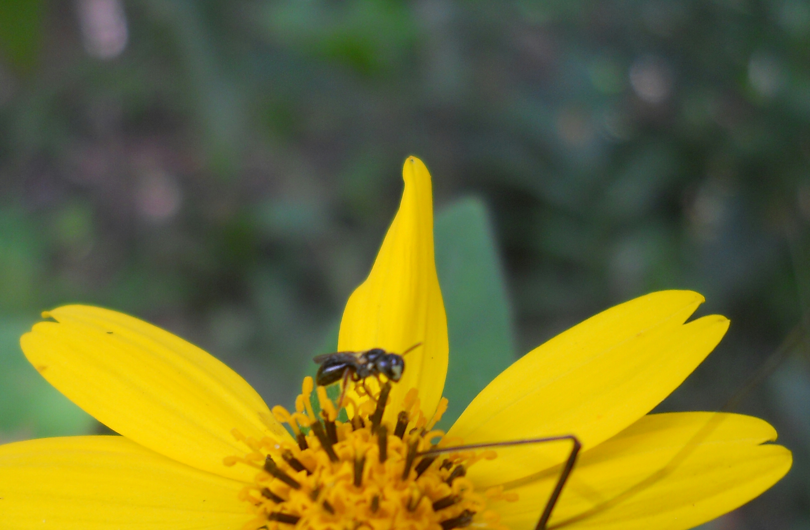 DSCN2794-1.jpg