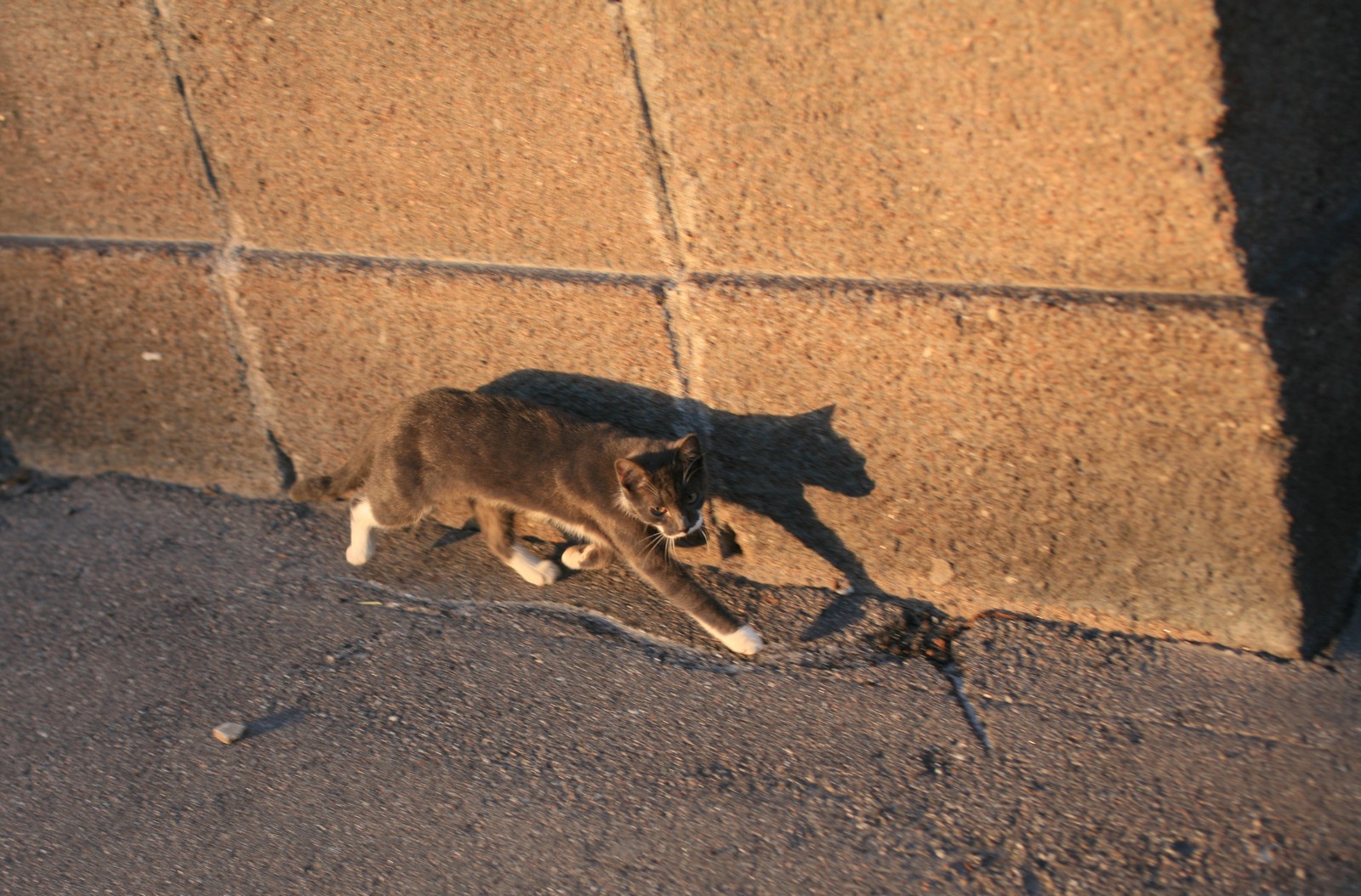 wed_2453-sh3.jpg