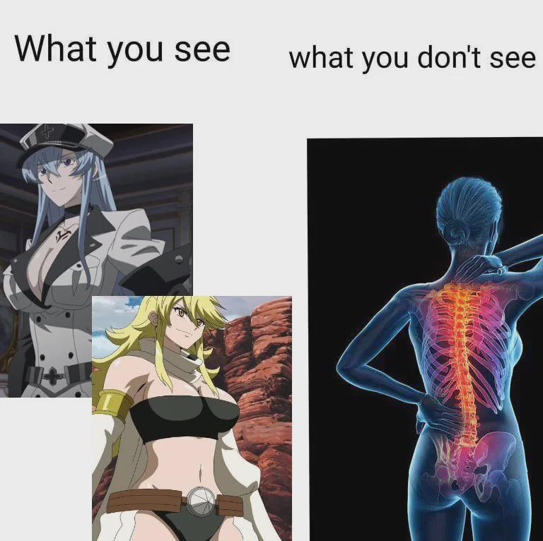 Esdeath_and_leone_memes.jpeg