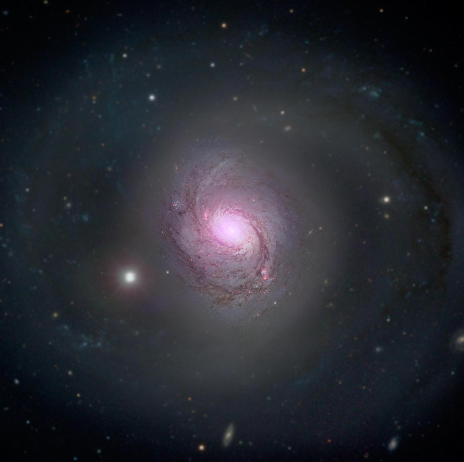 1492574802396-1492525555833-NuStar.jpeg